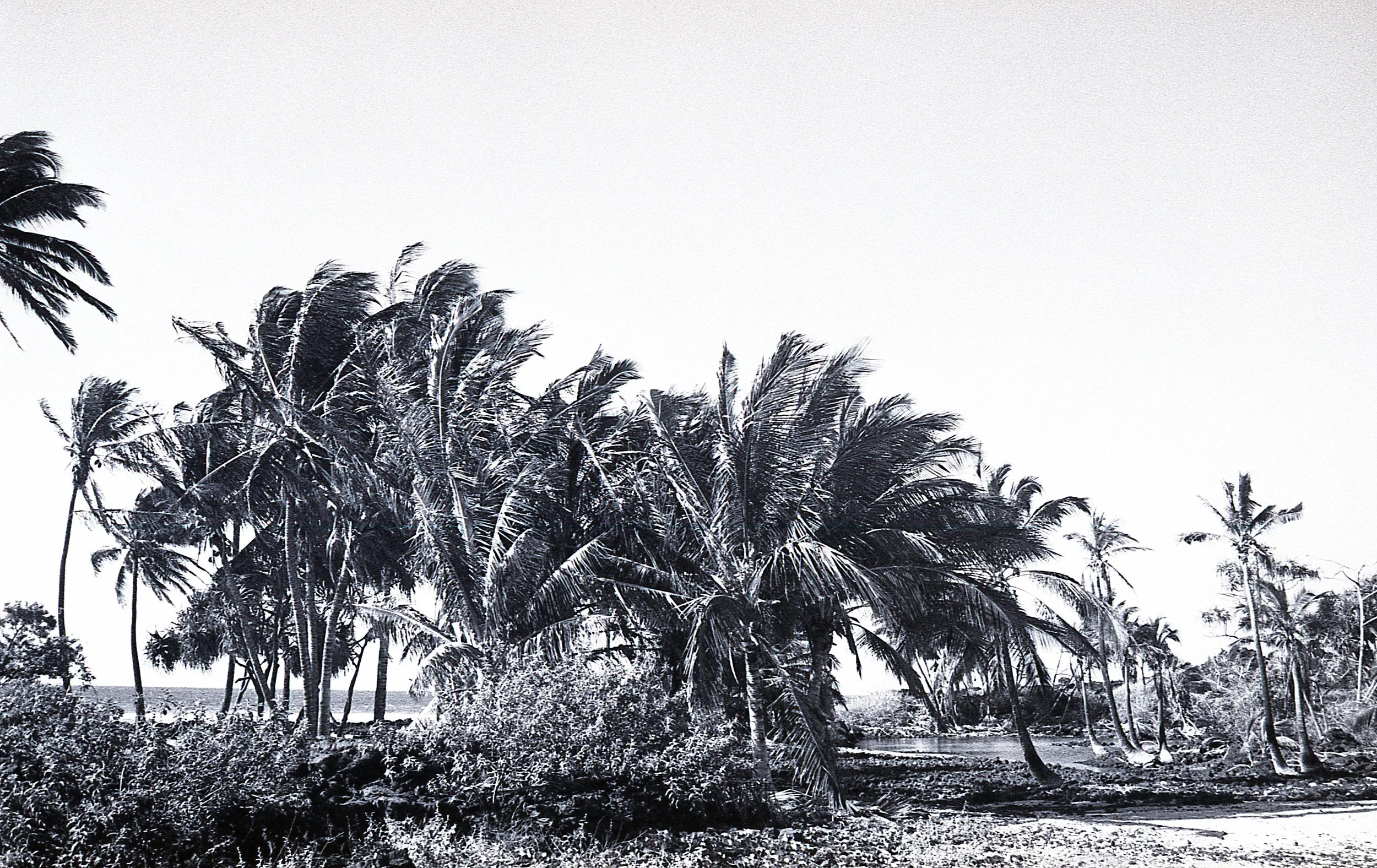 THRID B&W087.jpg