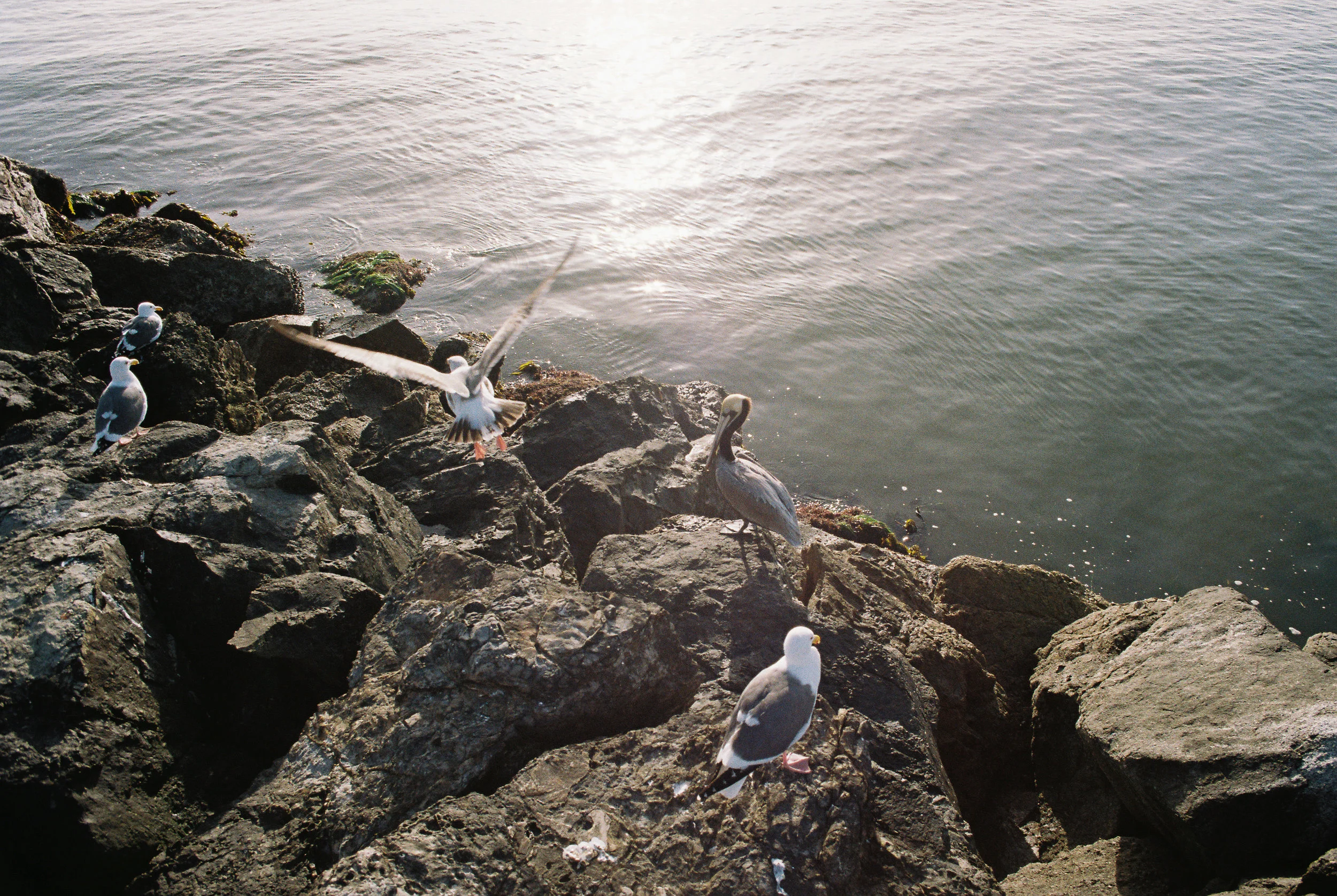 Hong608076-R1-063-30.jpg