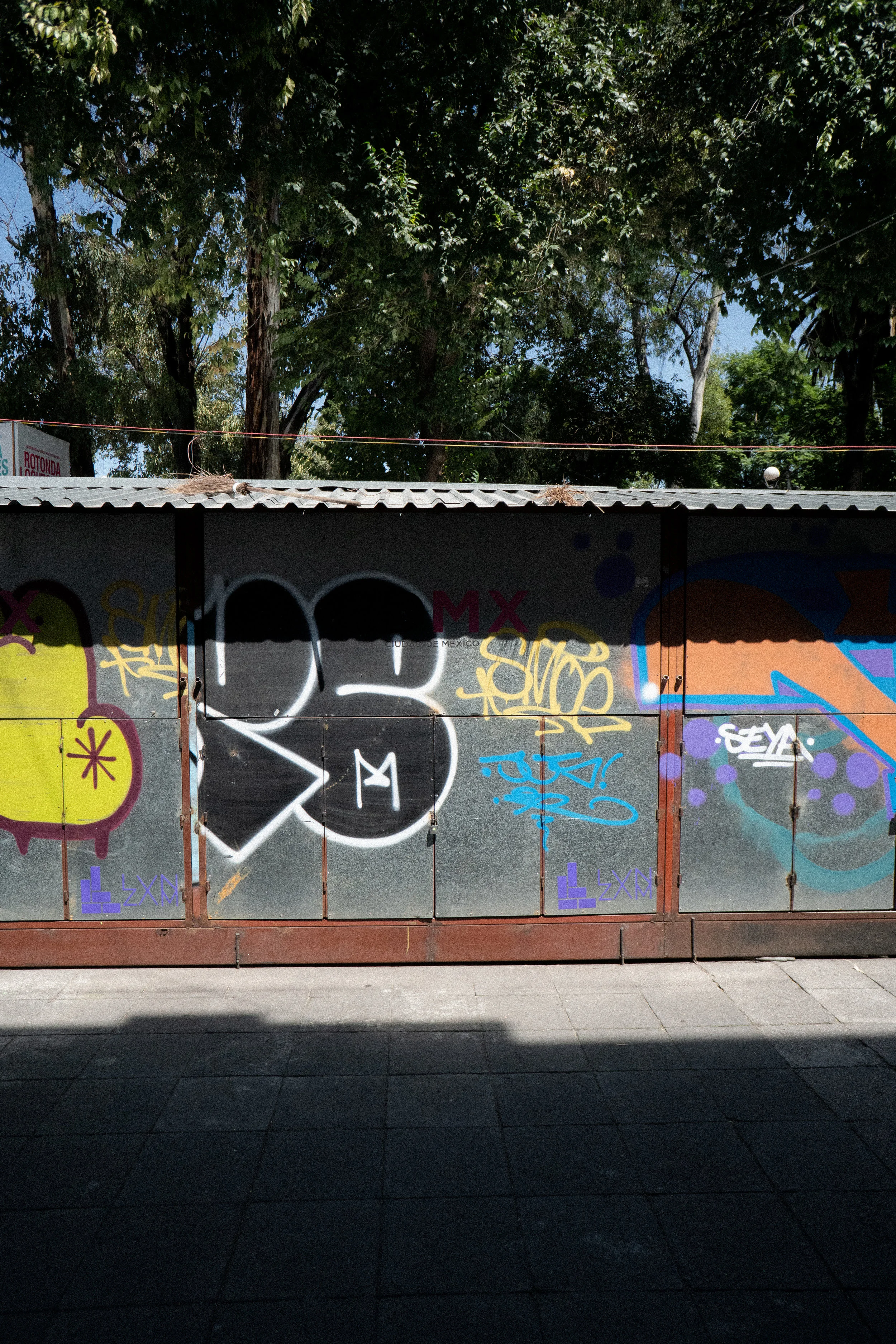 DSC08255.jpg