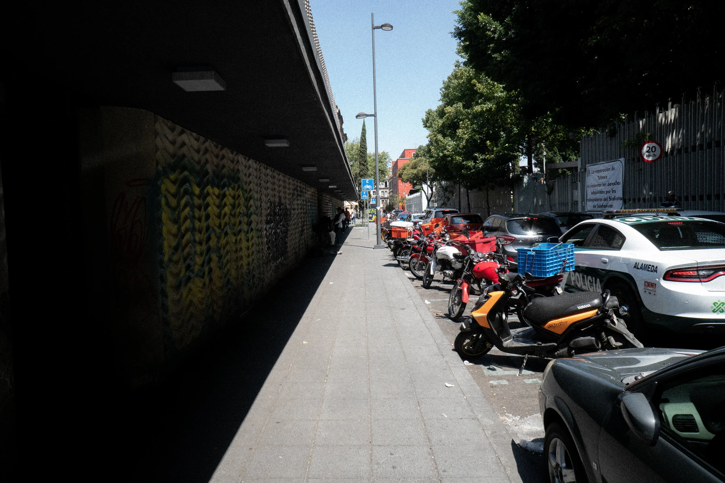 DSC08253.jpg