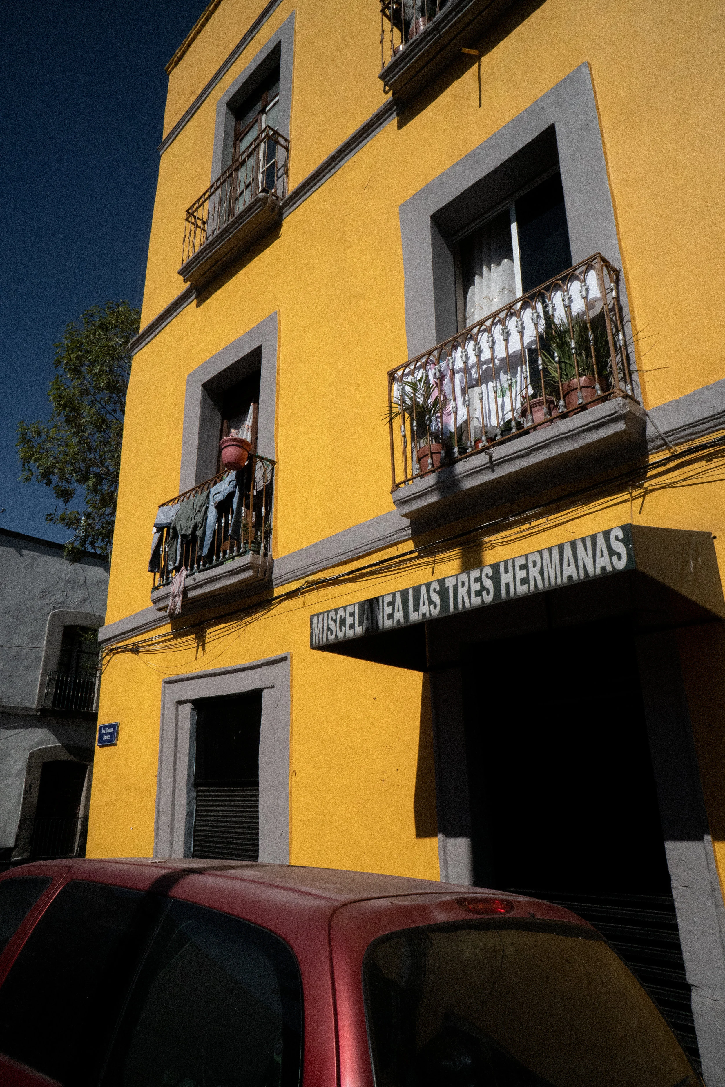 DSC08273.jpg