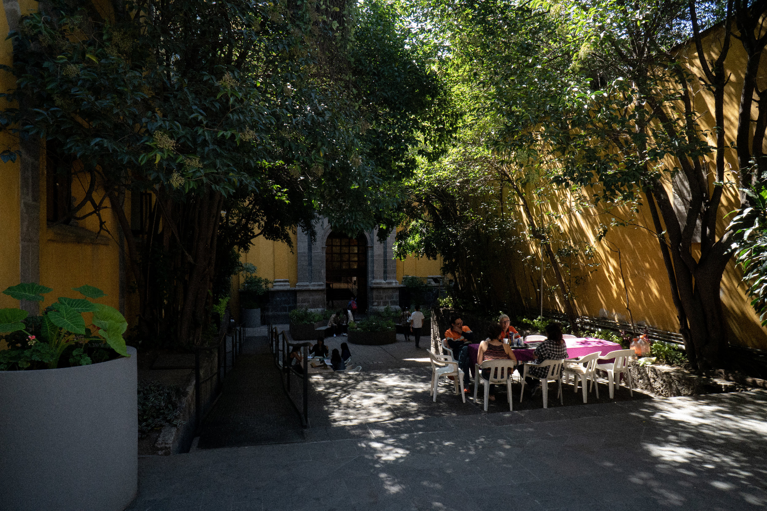 DSC08271.jpg