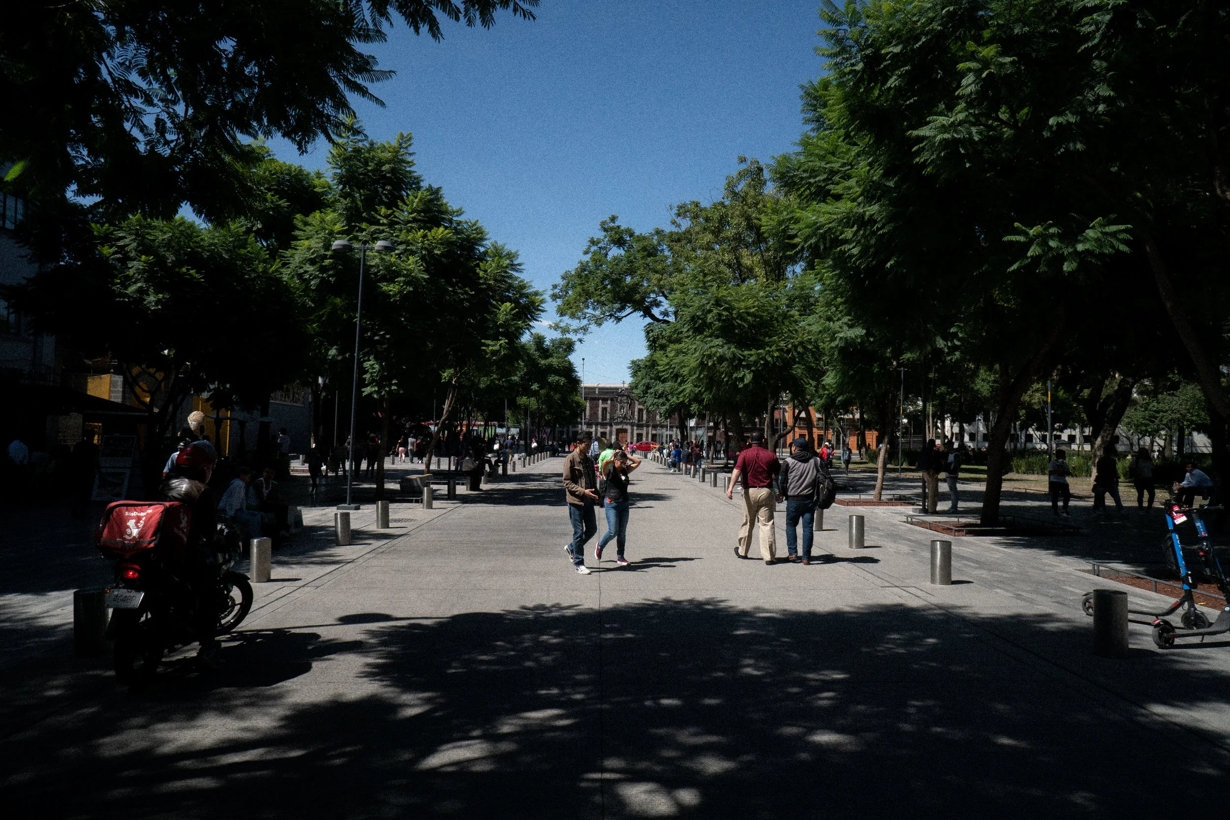 DSC08270.jpg