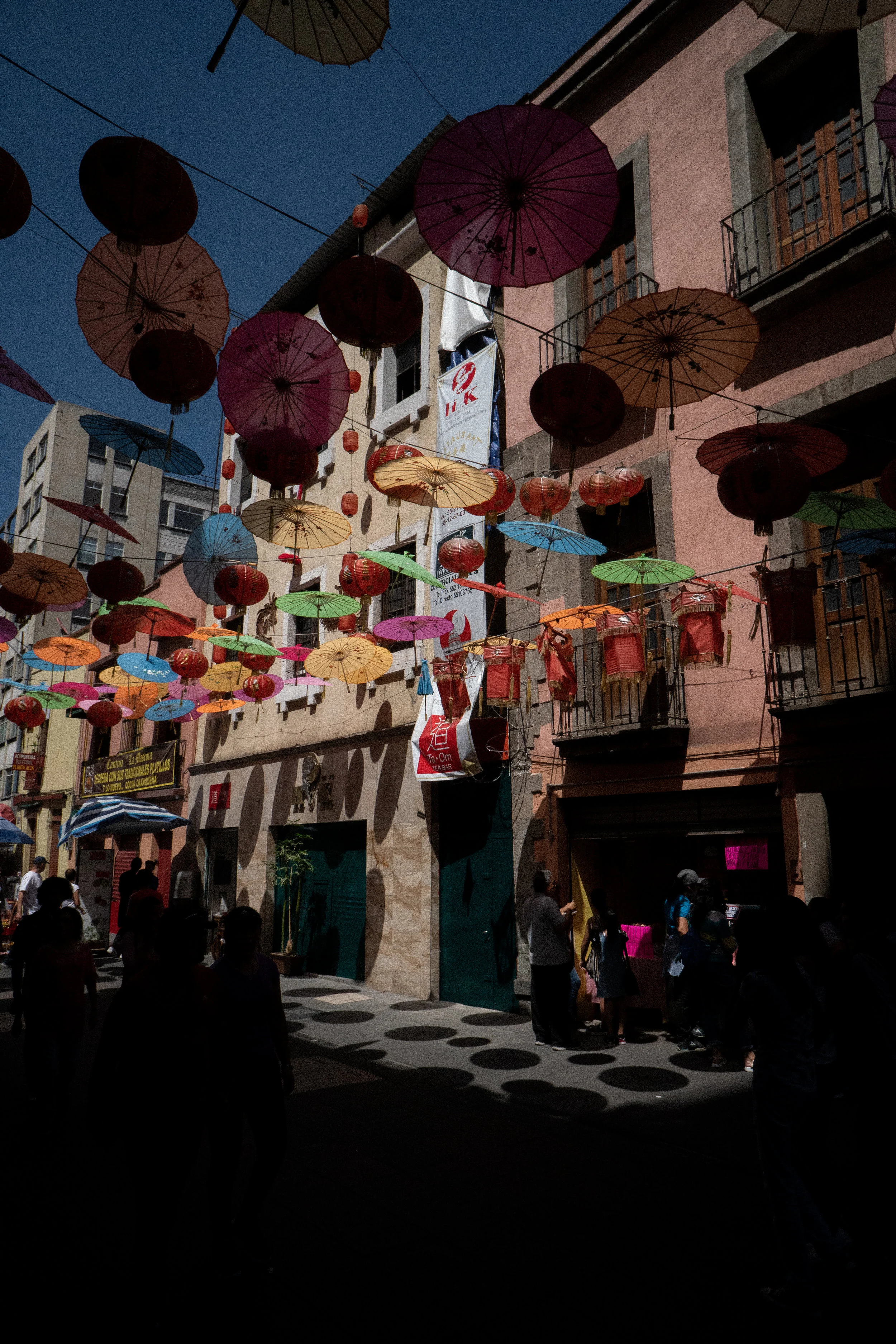 DSC08260.jpg