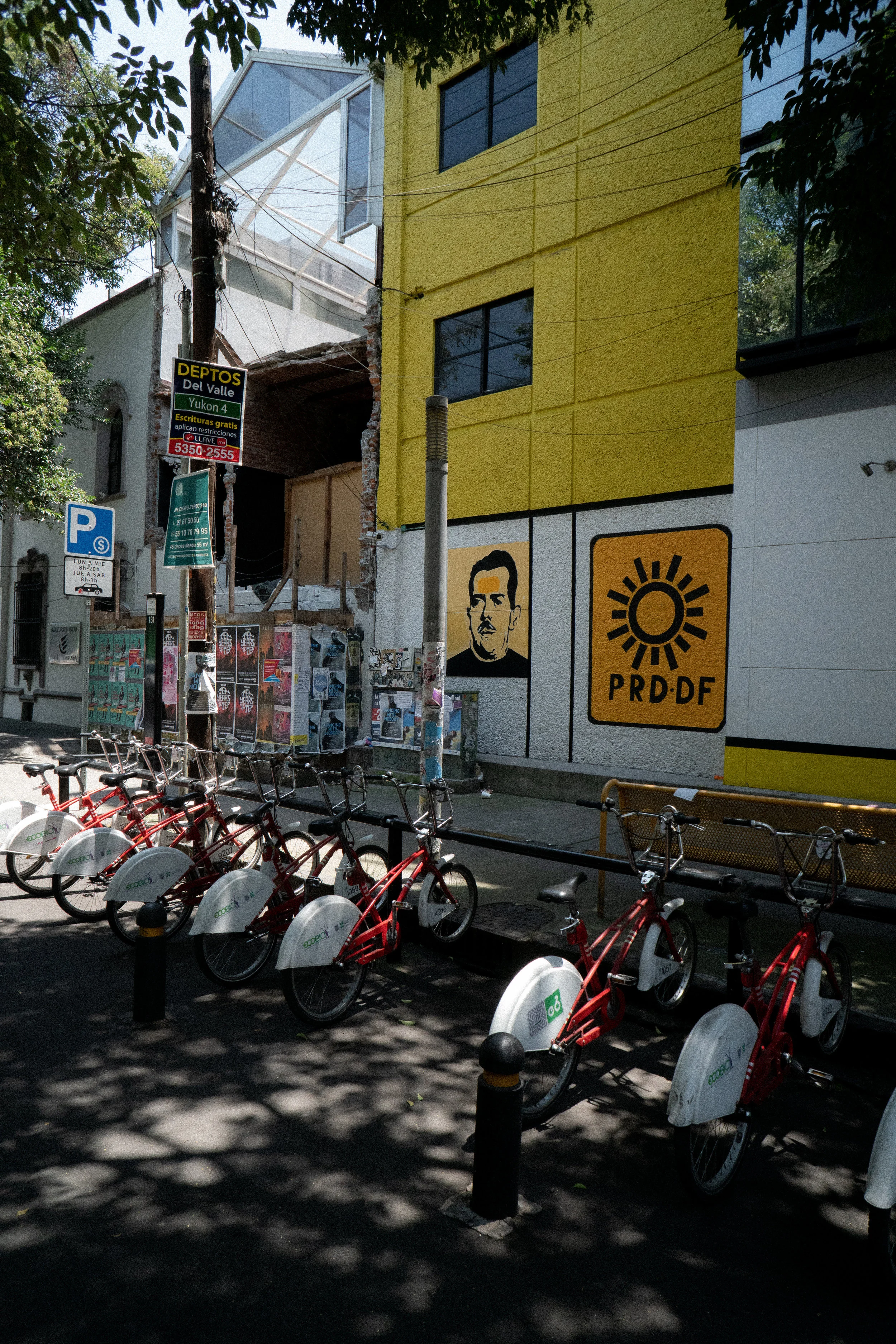 DSC08227.jpg