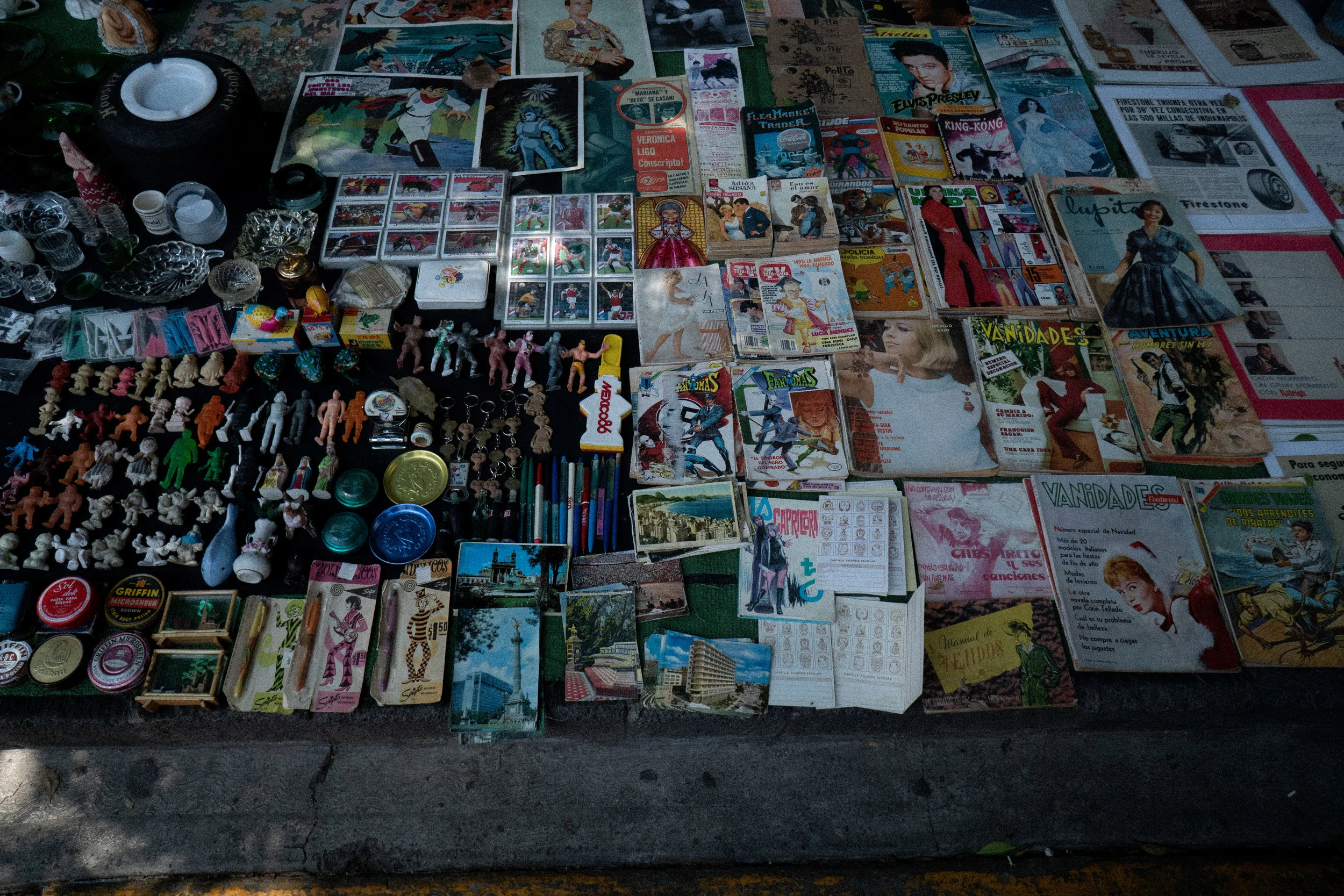 DSC08244.jpg