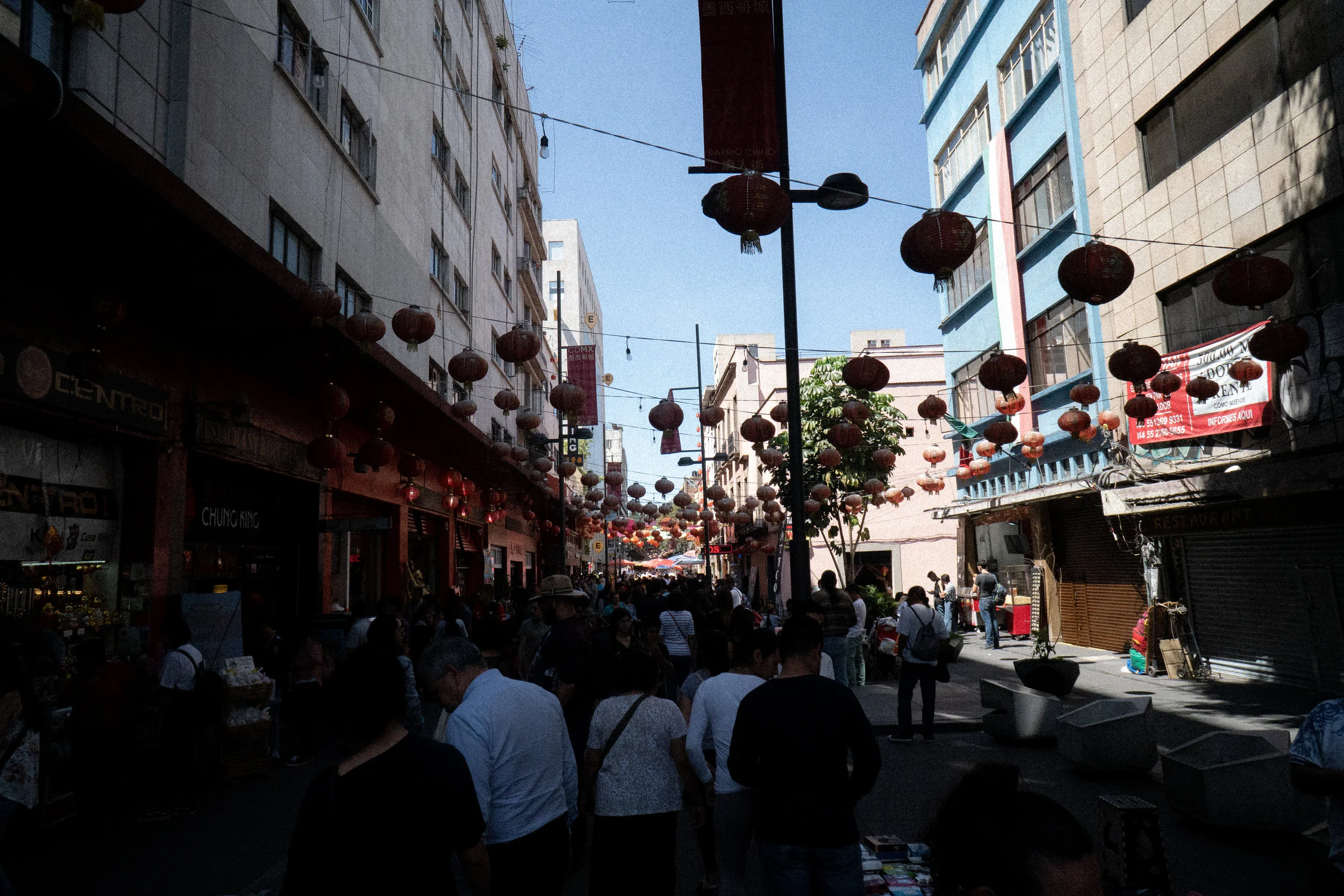 DSC08259.jpg