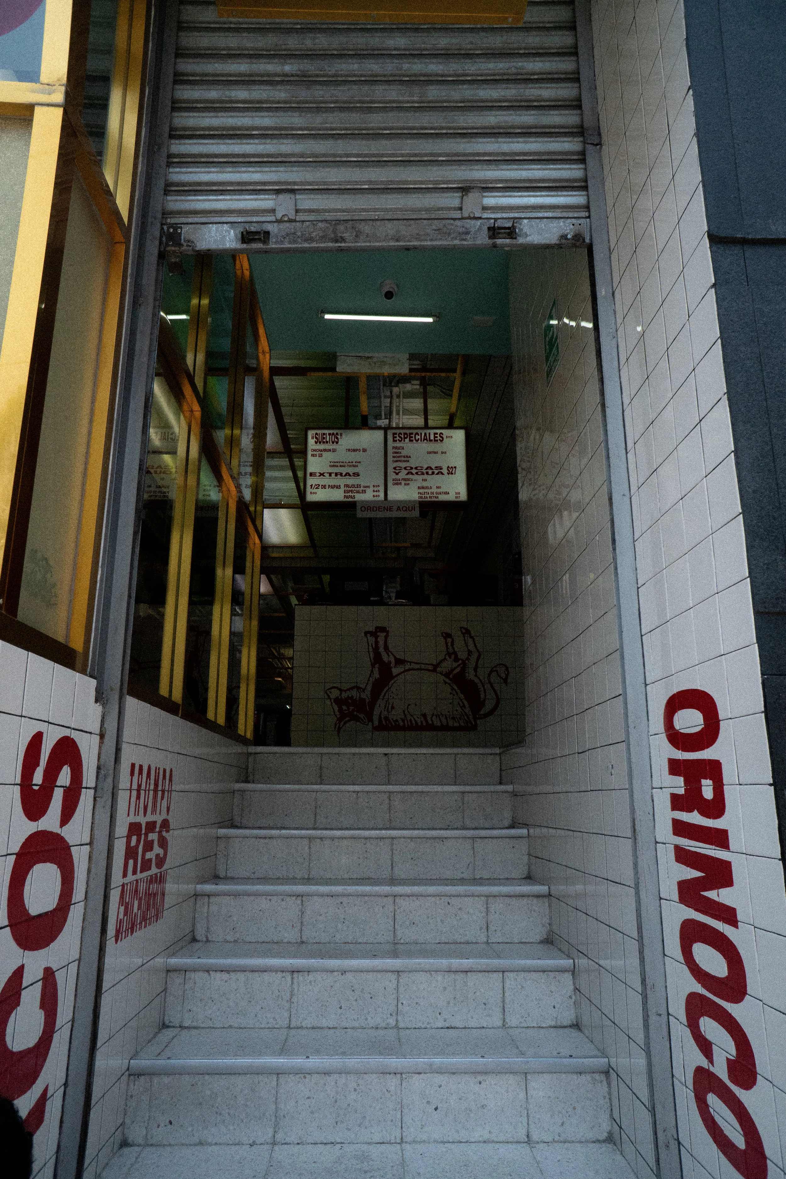 DSC08223.jpg