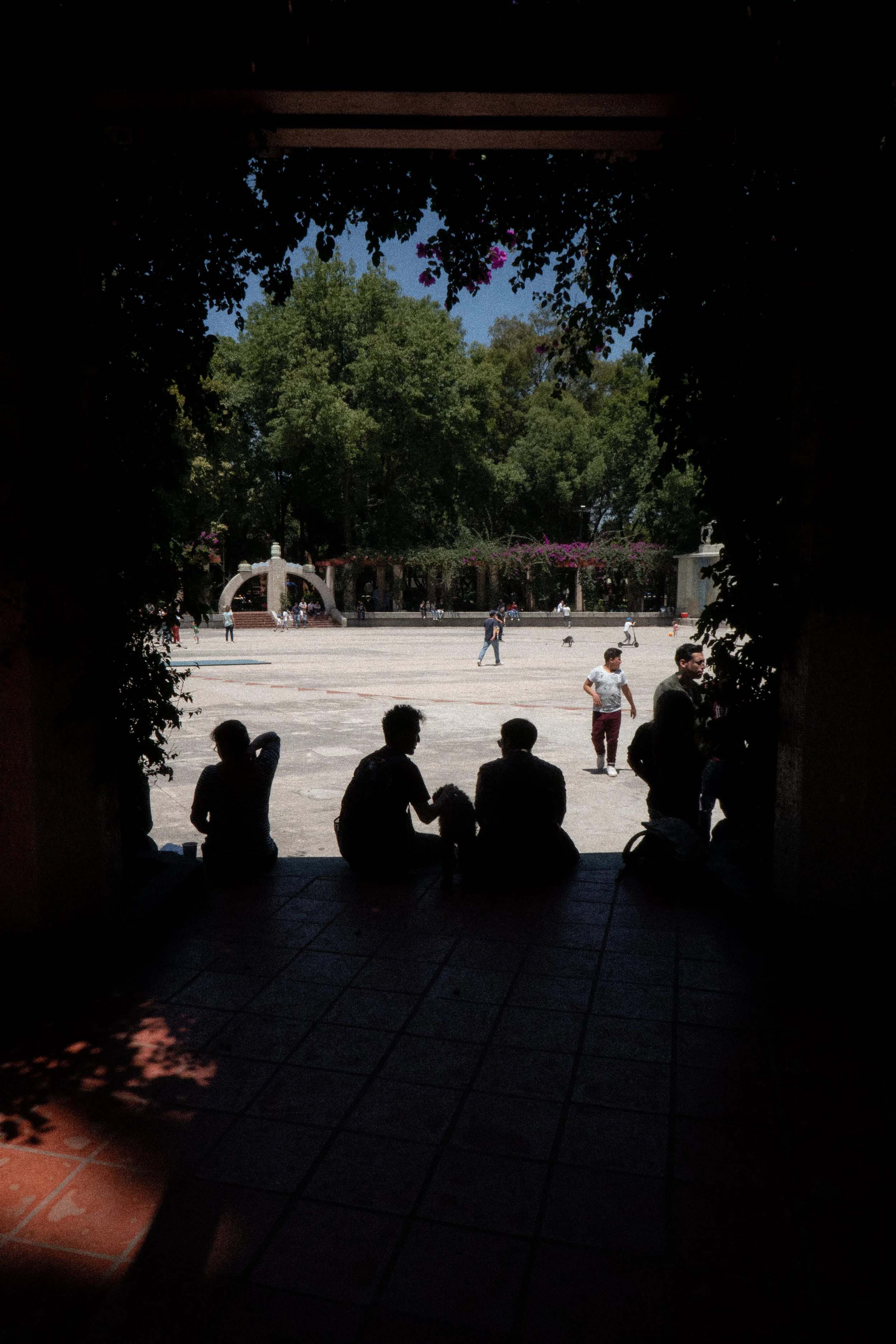 DSC08204.jpg