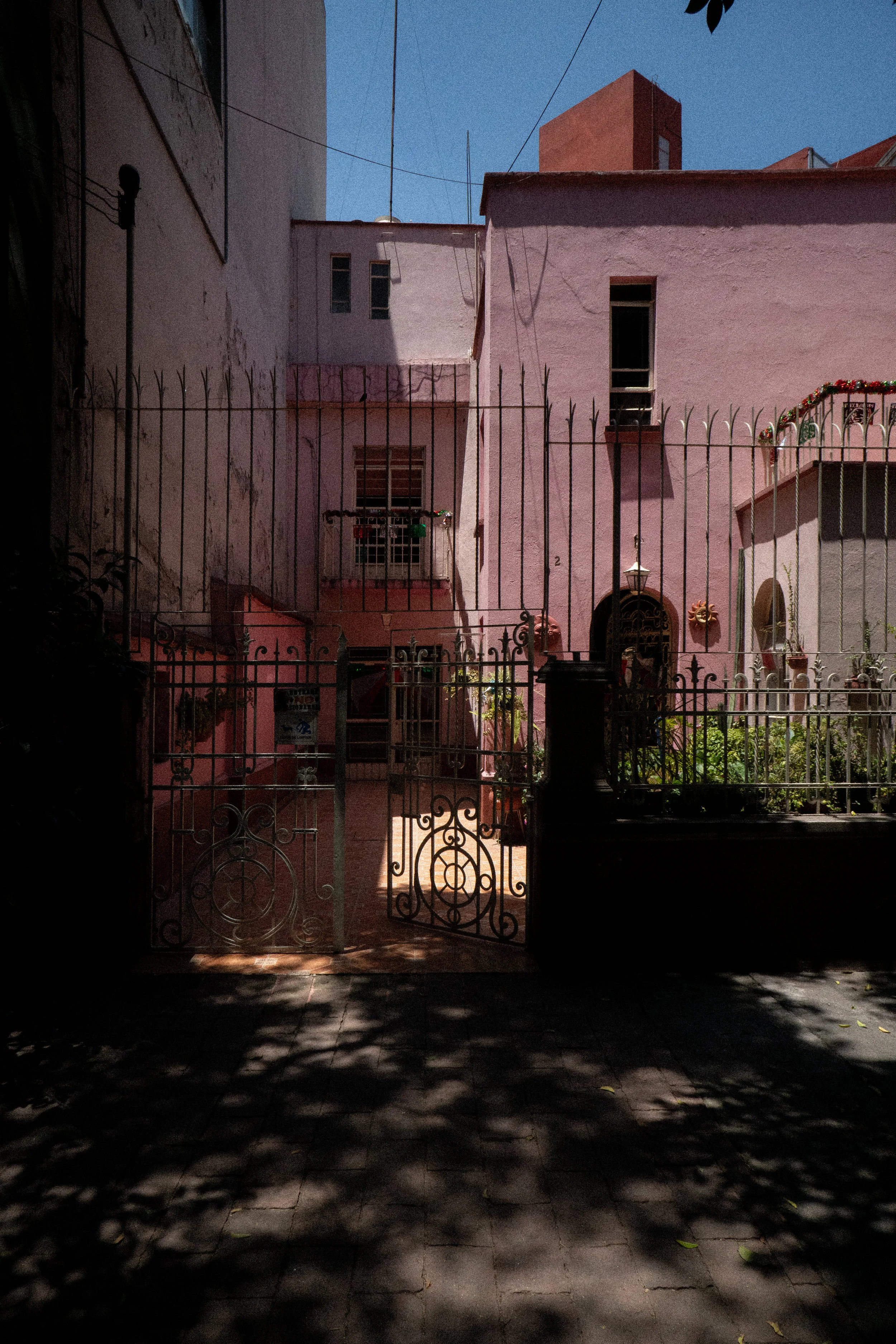 DSC08210.jpg