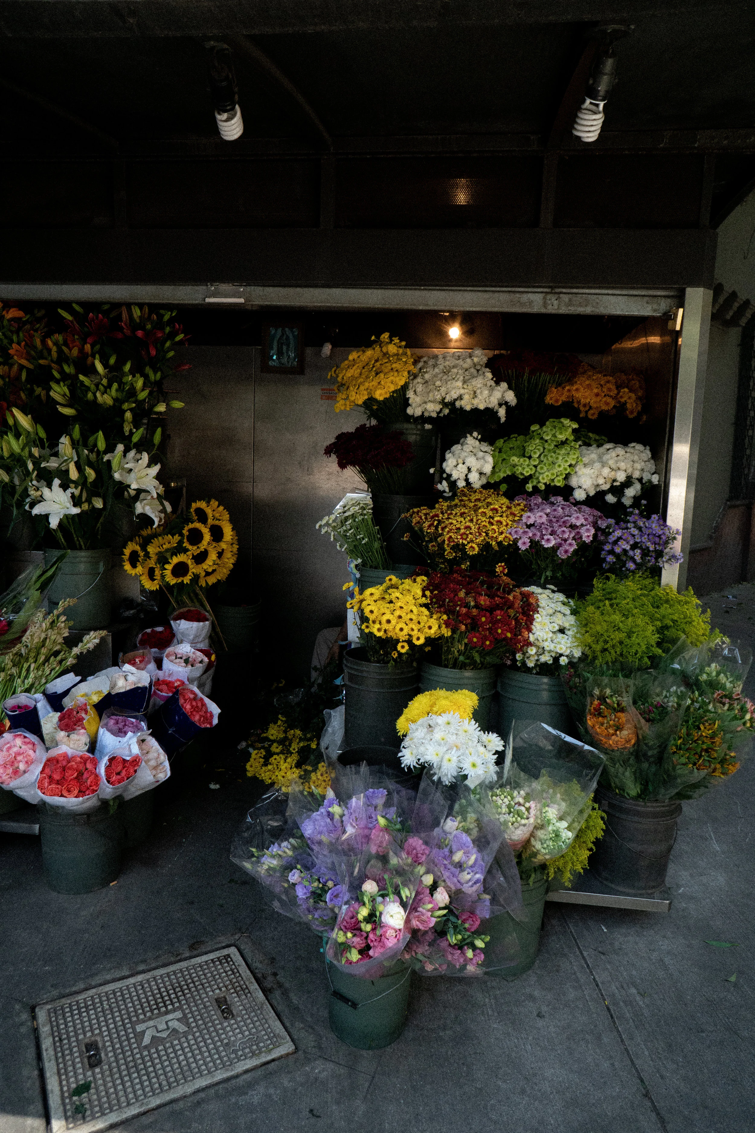 DSC08190.jpg