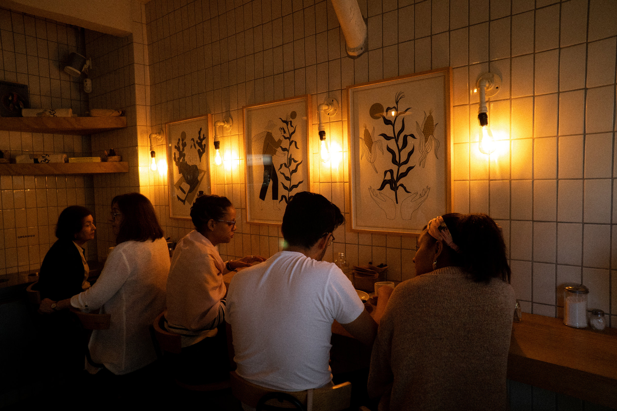 DSC08176.jpg