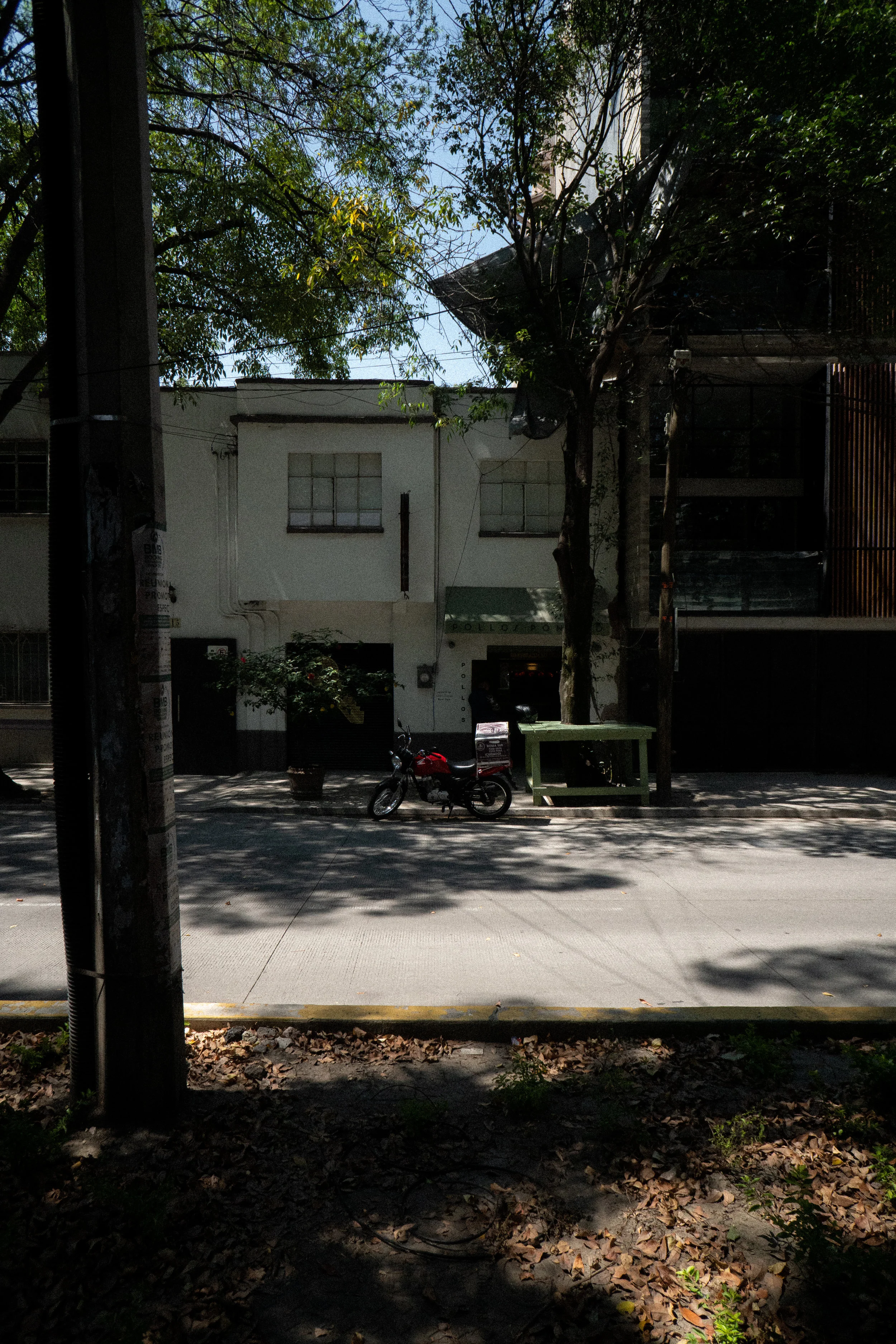 DSC08167.jpg