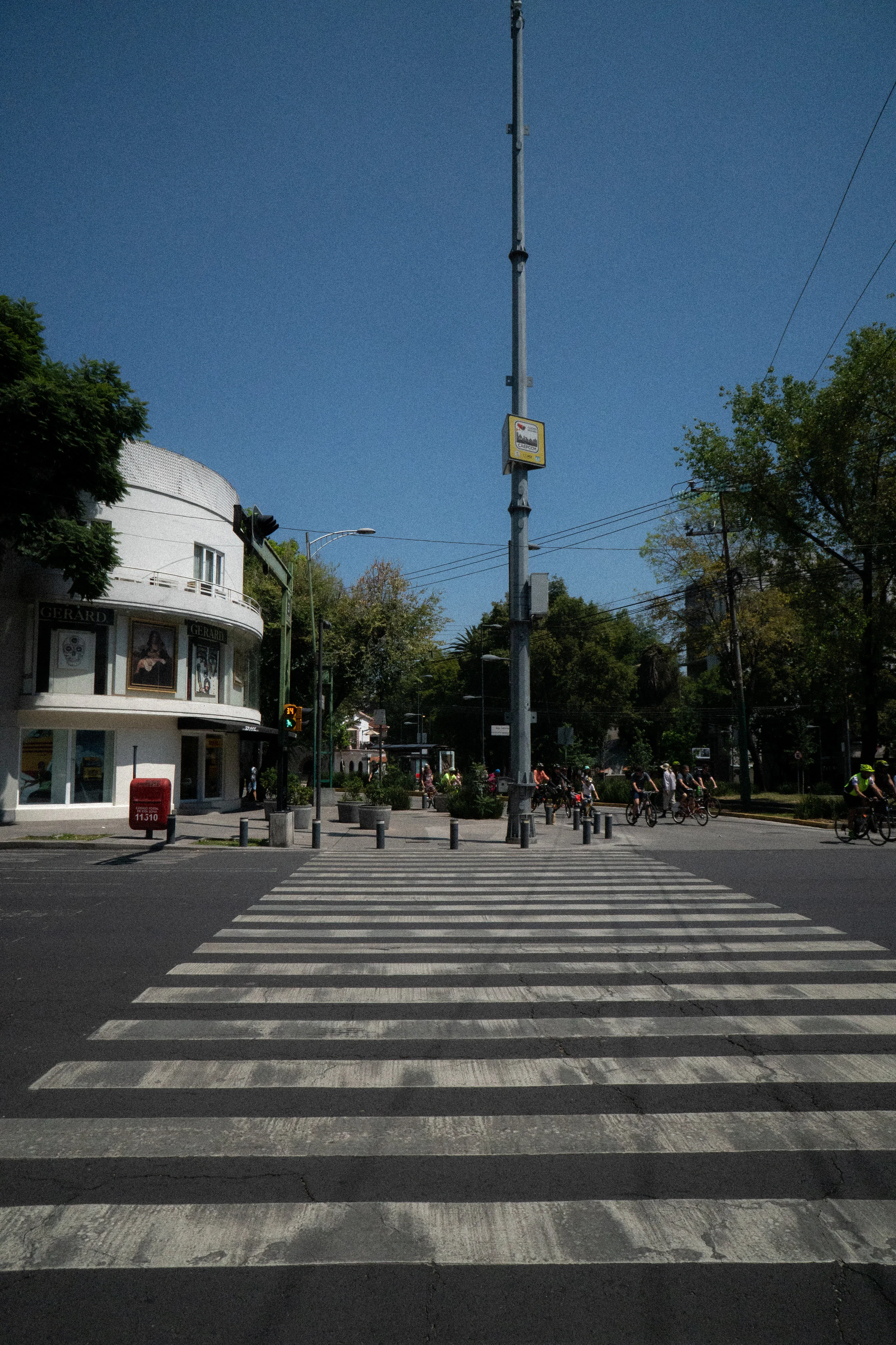 DSC08164.jpg