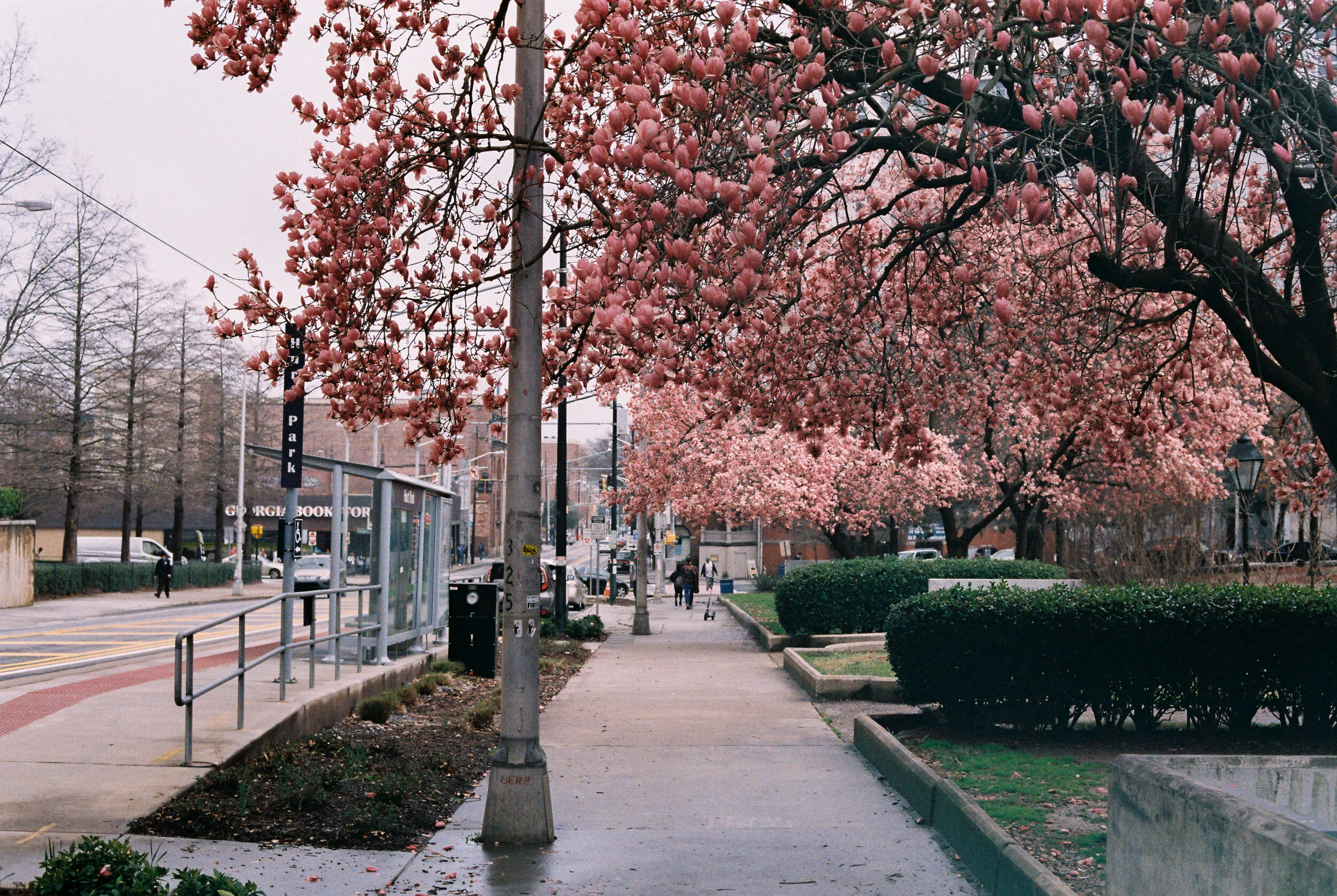 Hong607836-R1-073-35.jpg