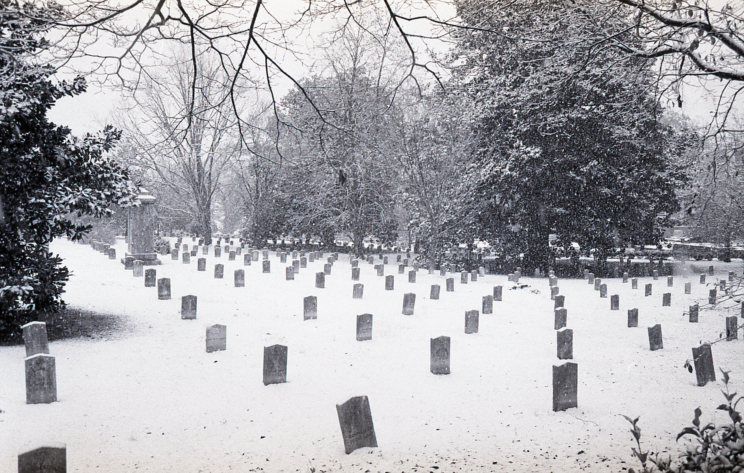 1OAKLAND IN SNOW.jpg