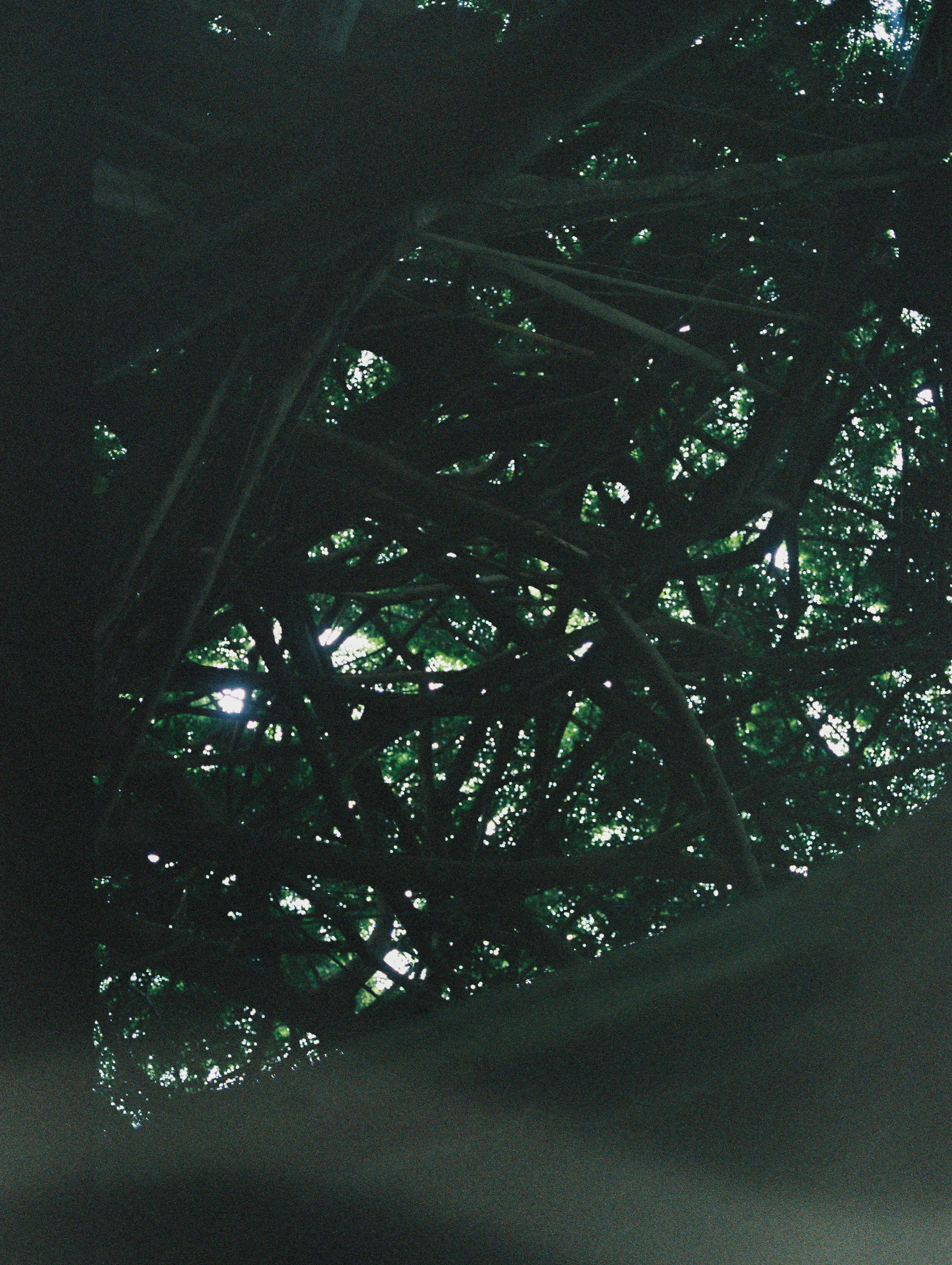 Hong081673-R1-E011.jpg