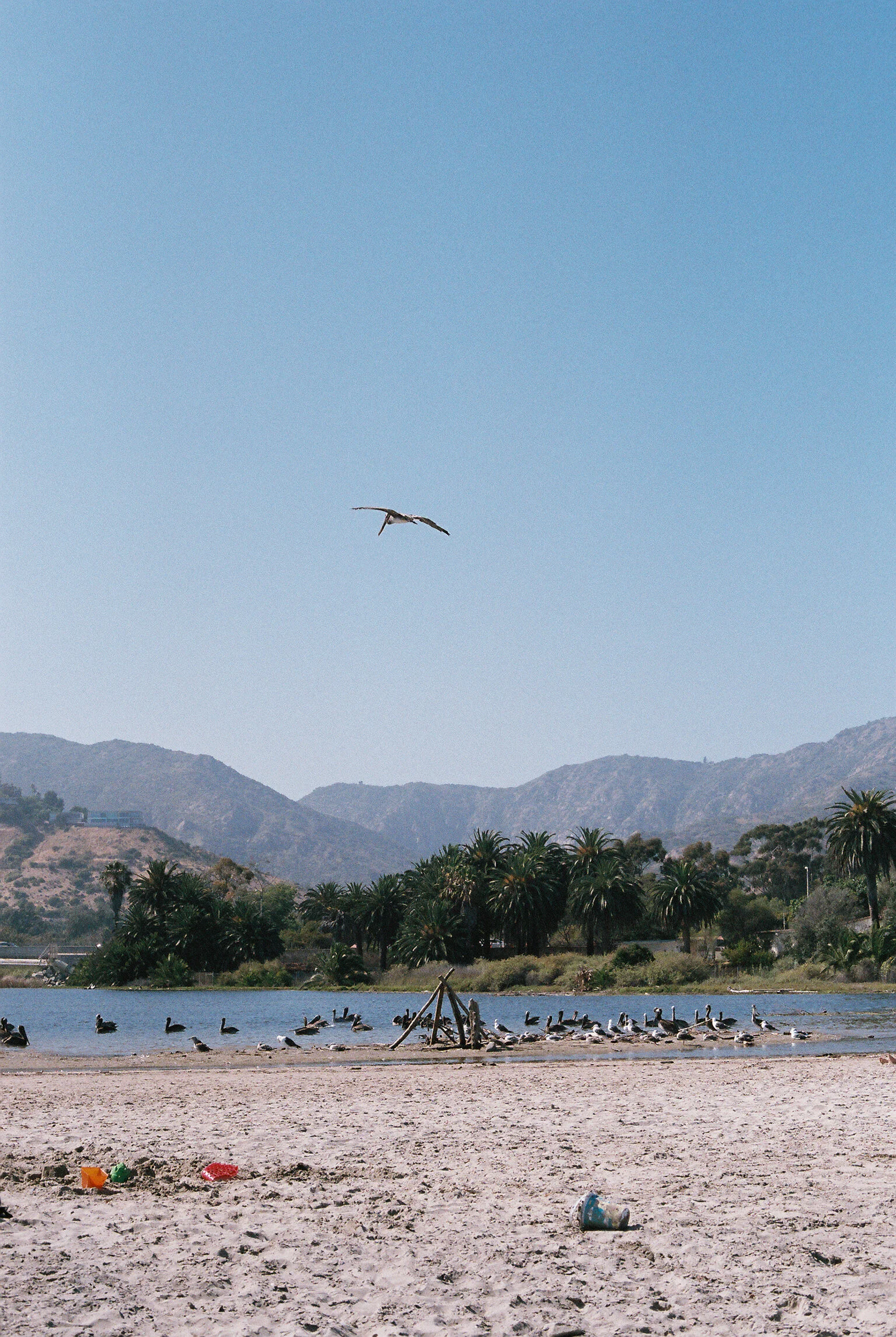 IMG4524-R01-026.jpg