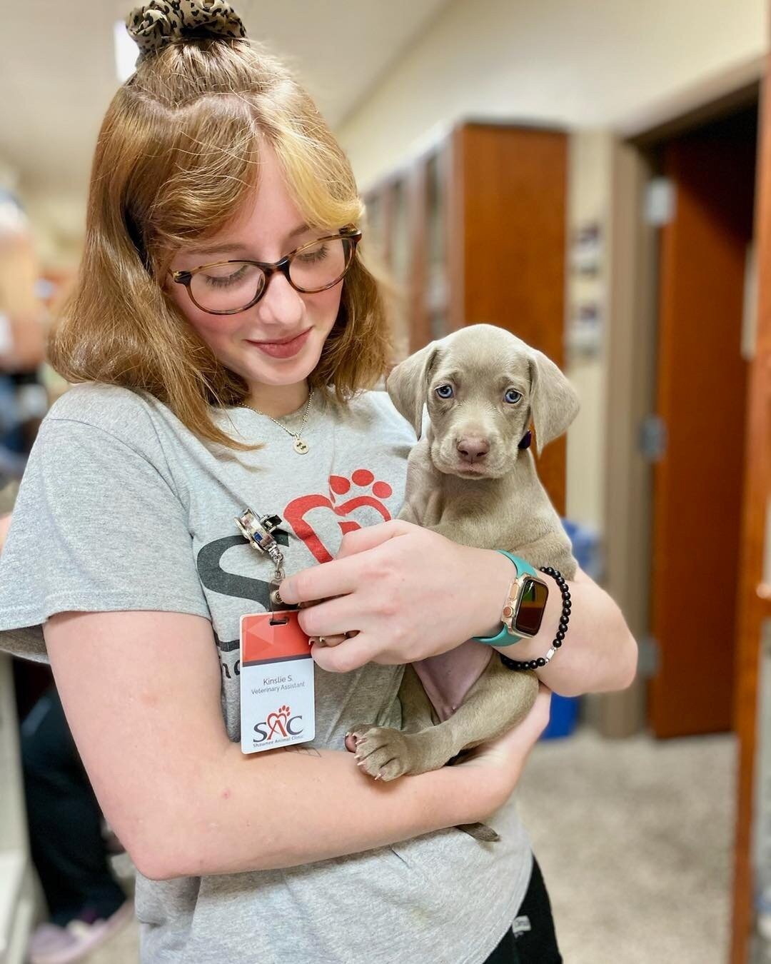 This blue eyed baby stole our hearts! How could anyone say no to that adorable face? 🥰 🐾