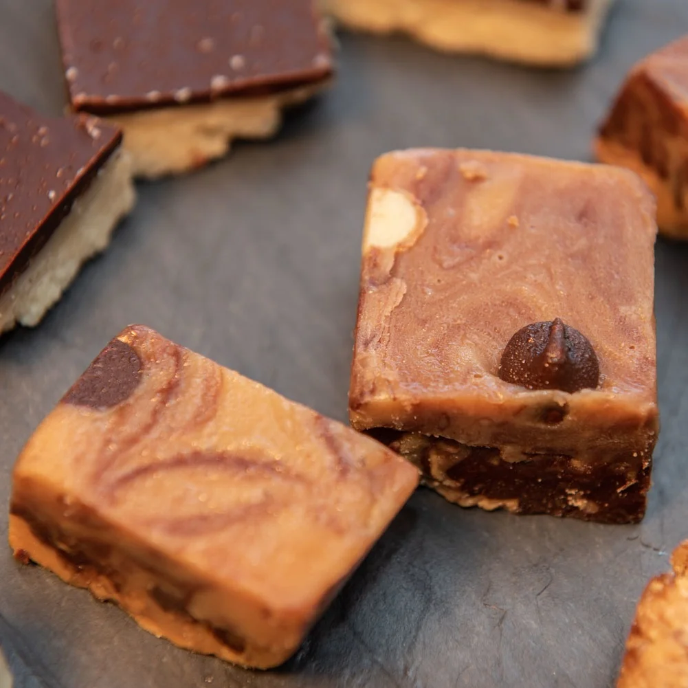 Healthy chocolate peanut butter fudge (vegan)