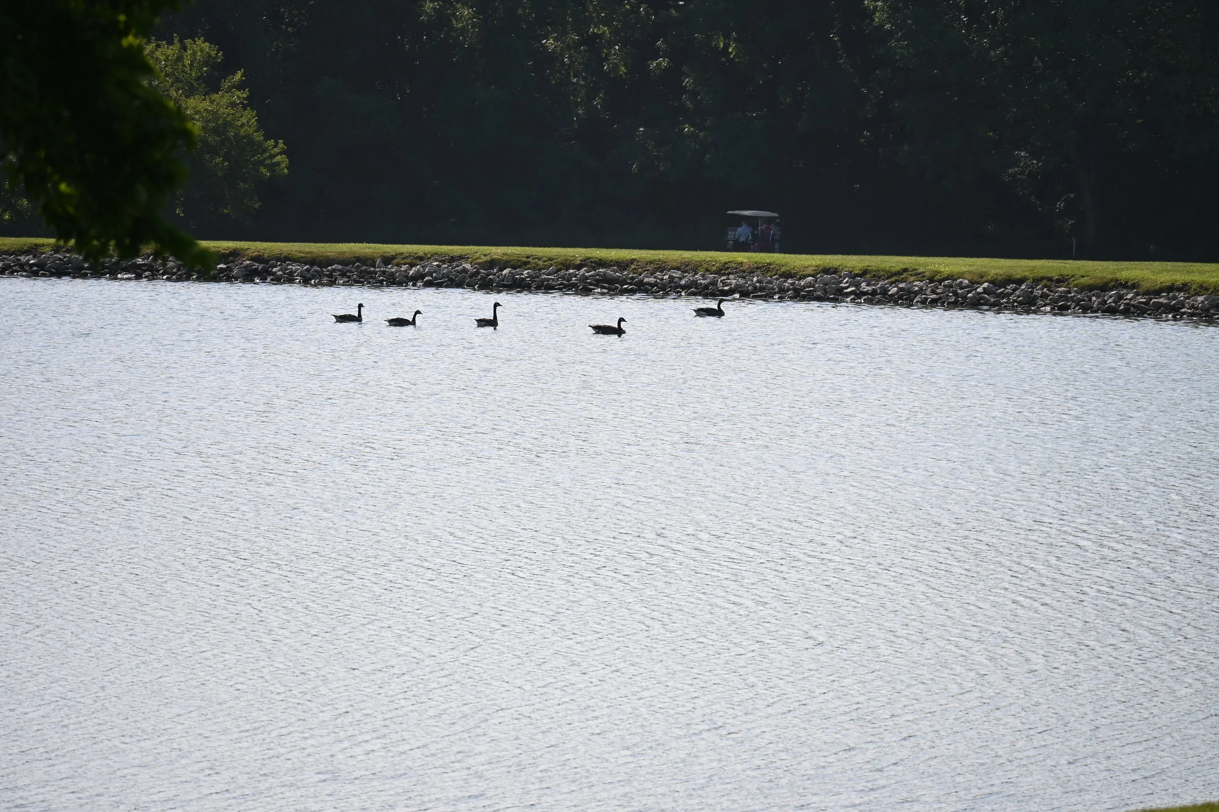 DSC_0353.JPG