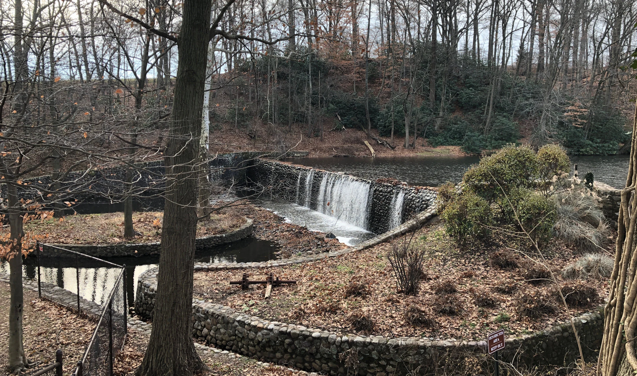 dam_crop_IMG-1407.jpg