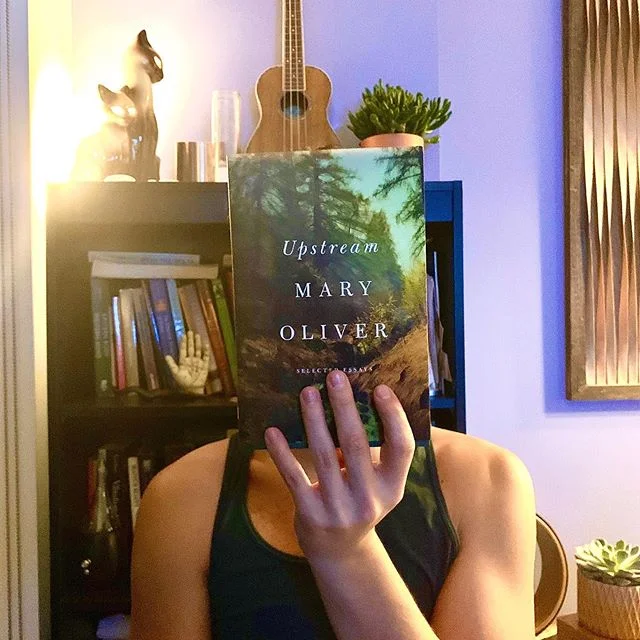 &lsquo;You must not ever stop being whimsical. And you must not, ever, give anyone else the responsibility for your life.&rsquo; -Mary Oliver⠀
⠀
This book is magic! 🖤