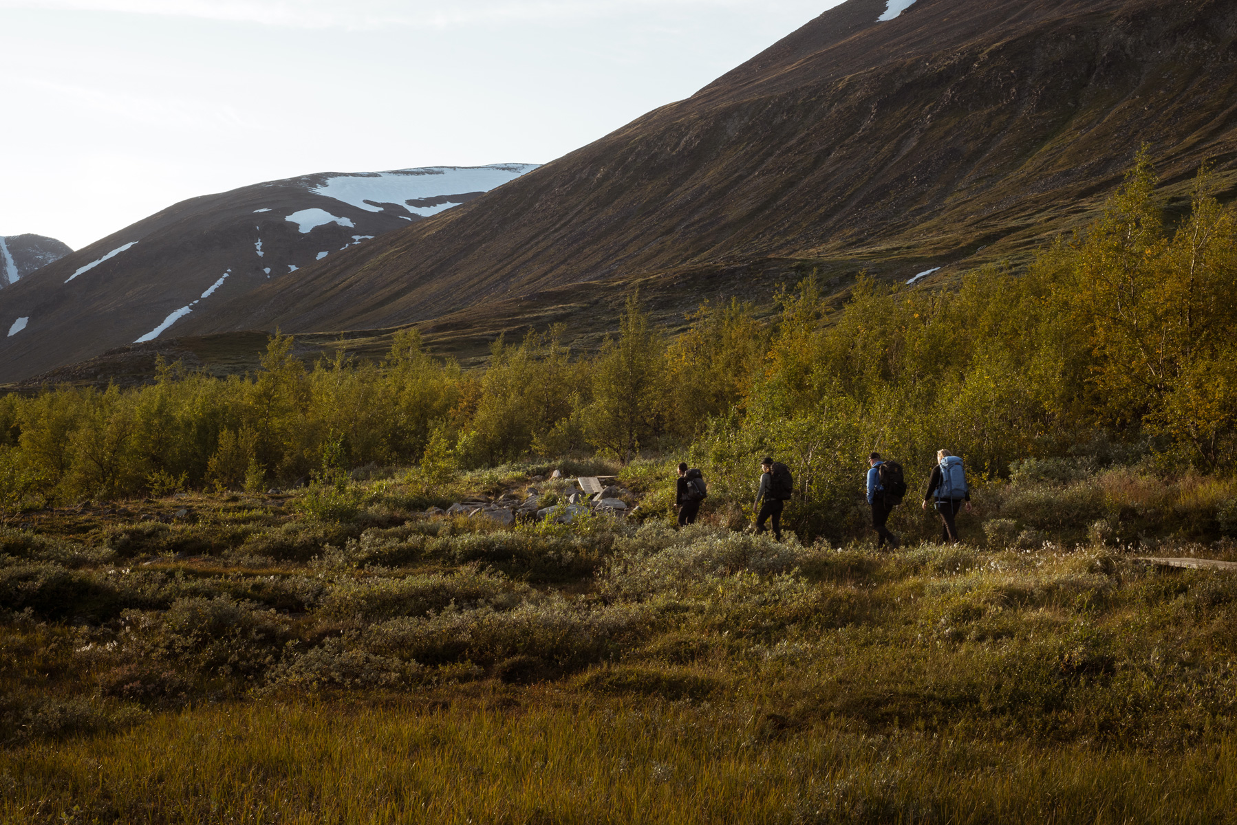 A-Kebnekaise-7190.jpg