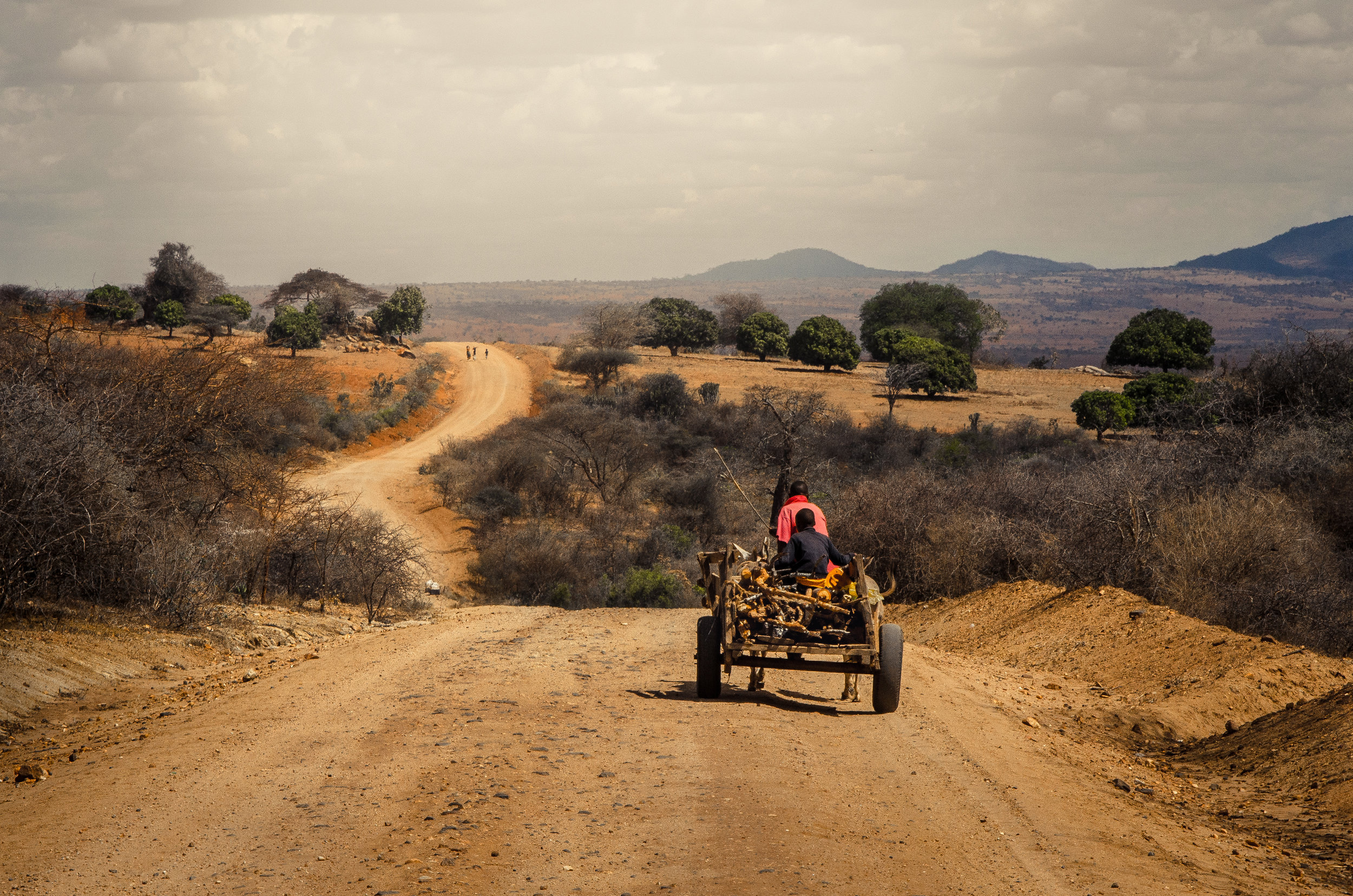 Carry-home-the-firewood.jpg