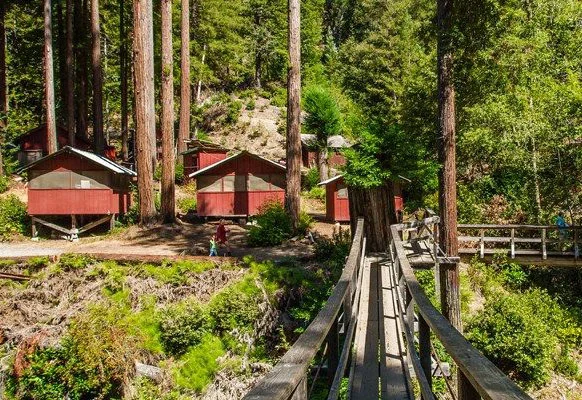cabins.jpg