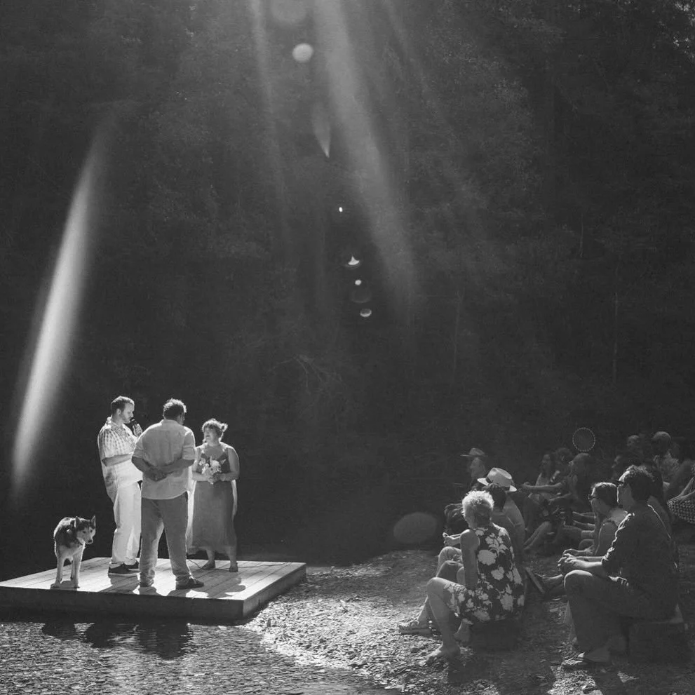 Sparking Moments Under the Redwoods 💗

PC @caricourtright