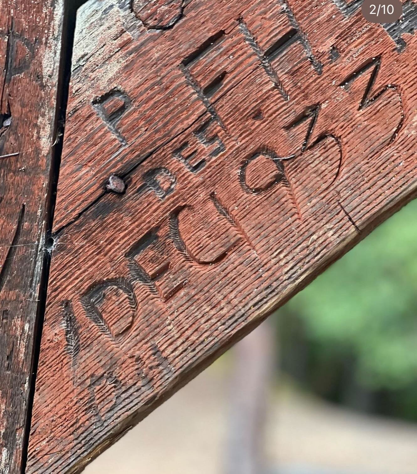 Rooted in history, surrounded by nature, and still making memories at Camp Noyo #campnoyo #visitmendocinocounty