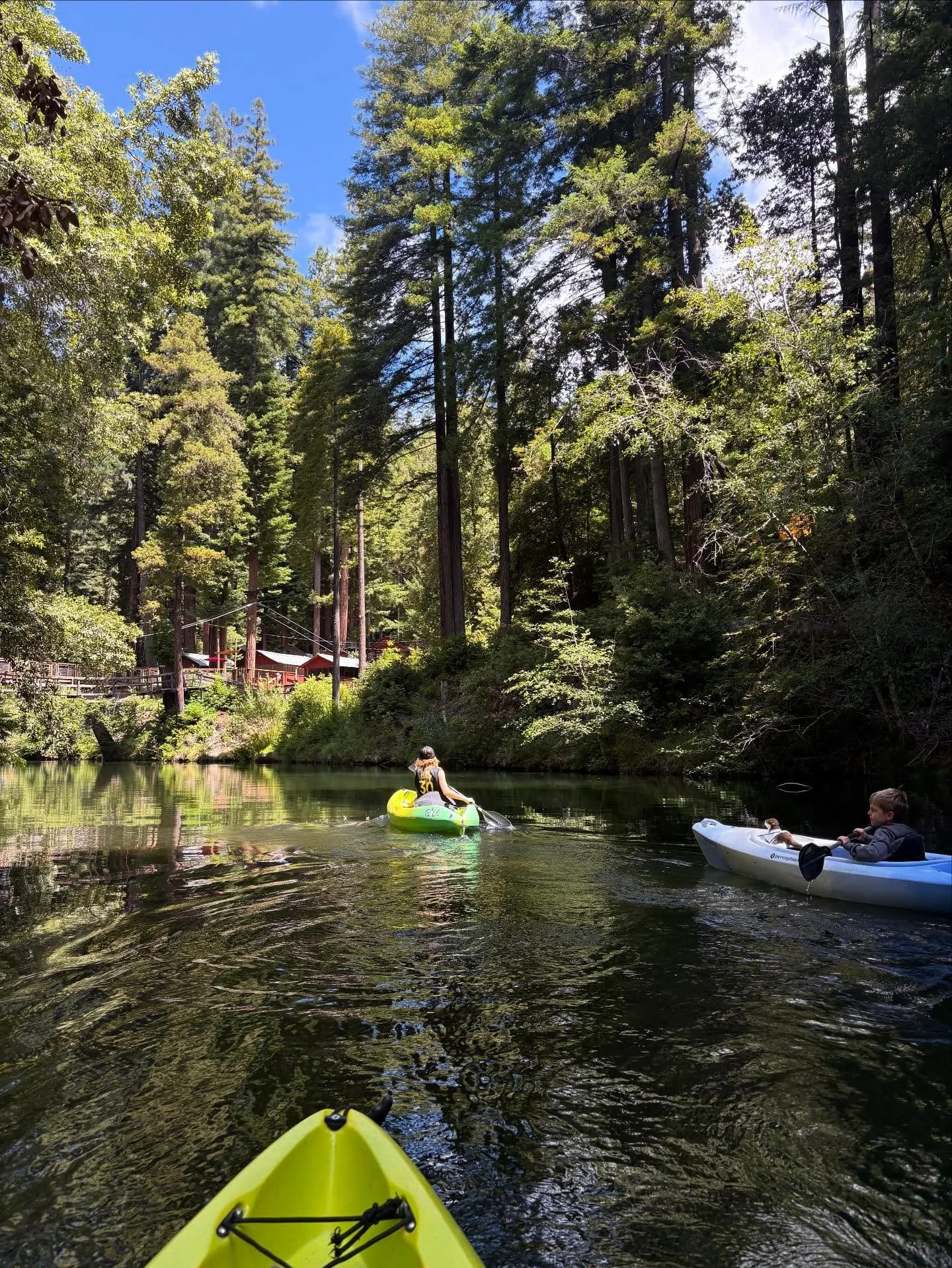 Just another day floating under the redwoods 🛟 #campnoyo #visitmendocinocounty