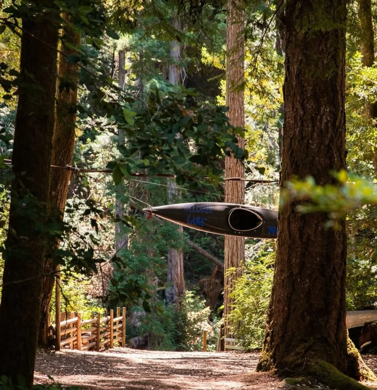 Where time slows, trees whisper, and the forest becomes home. 🌿 Welcome to Camp Noyo. #RedwoodRetreat #CampNoyo #visitmendocinocounty