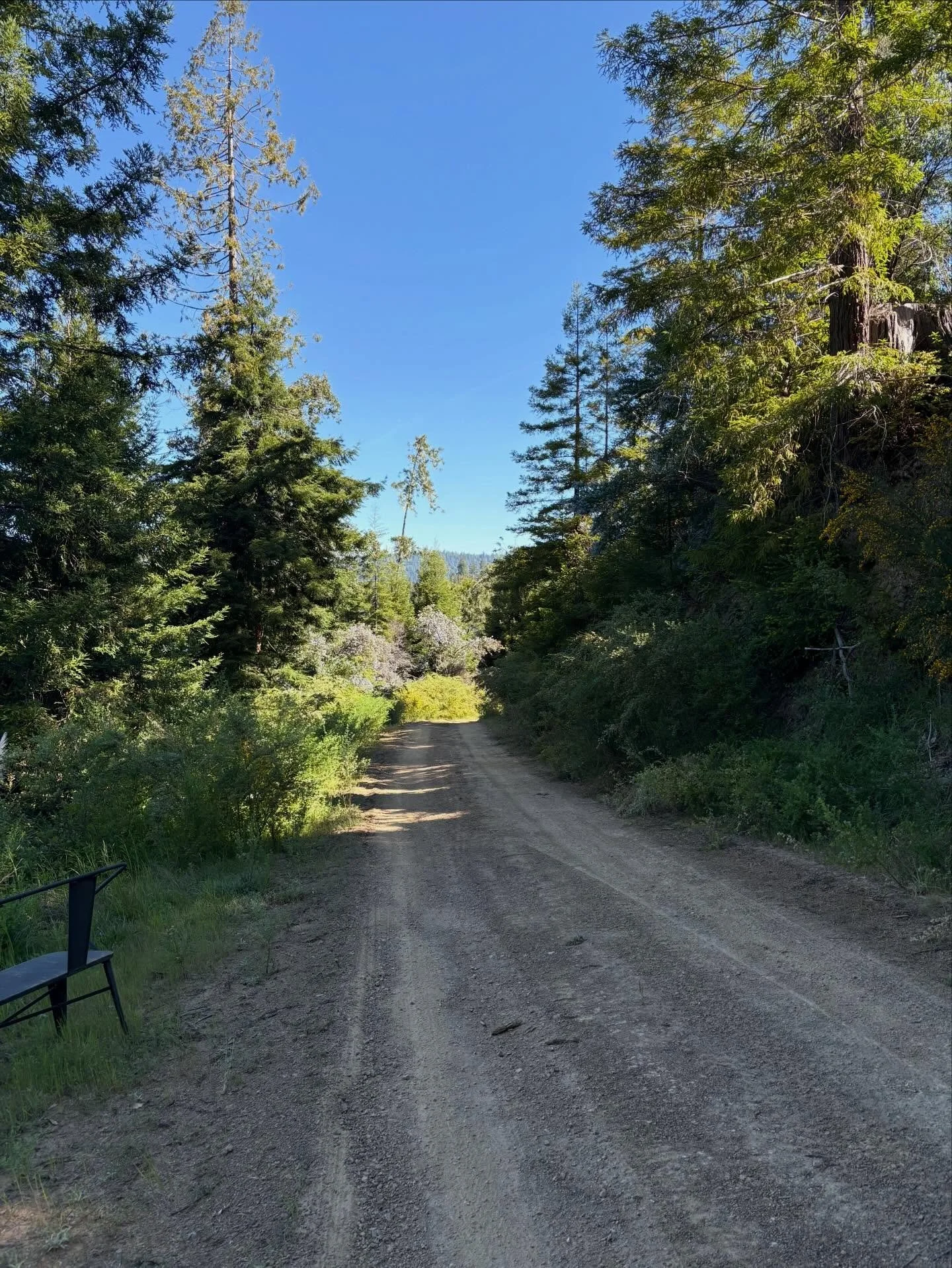 Country Roads Take Me Home or to CAMP #visitmendocinocounty #campnoyo