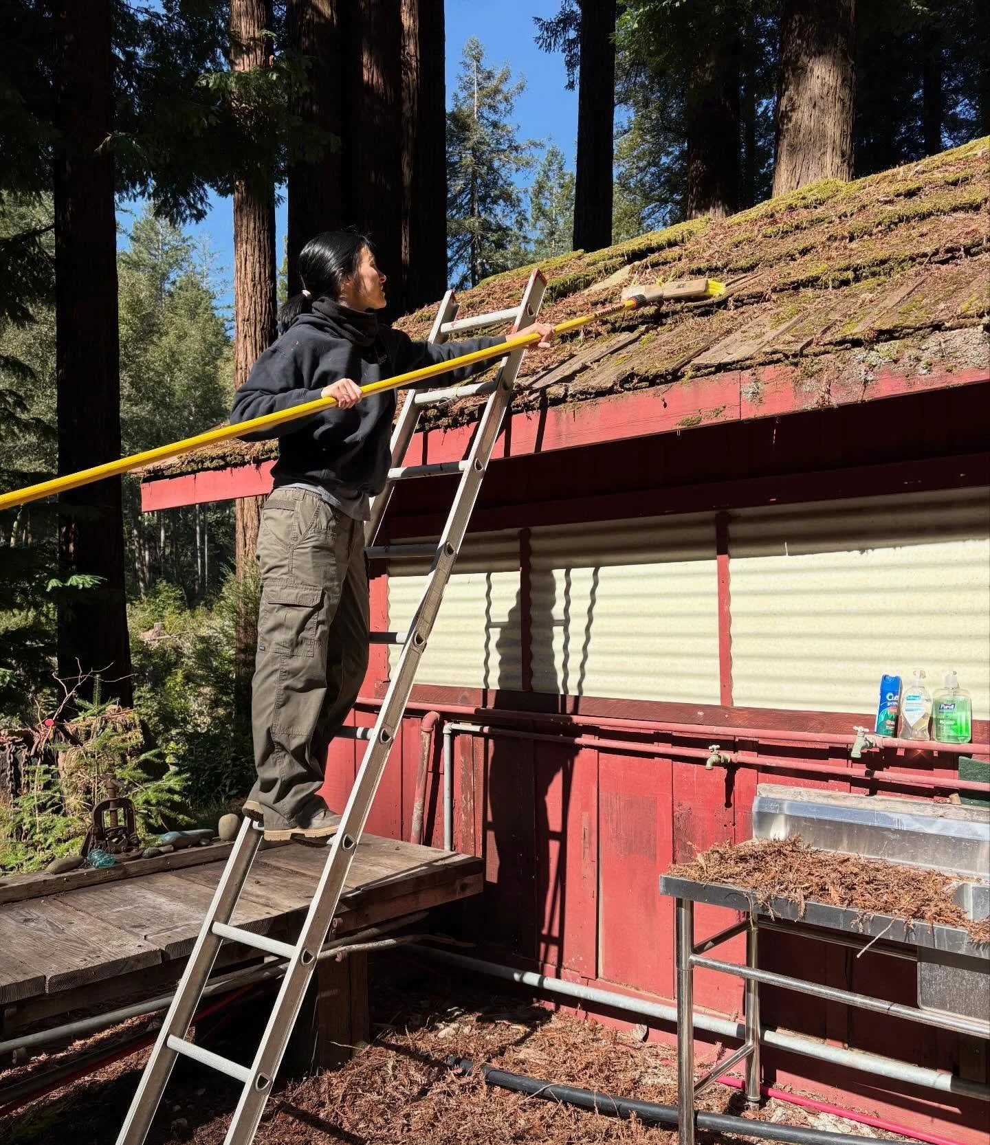 Work weekend mode: ON 💪🌿
Spring&rsquo;s here and Camp Noyo is getting her glow-up&mdash;one rooftop at a time 🌲