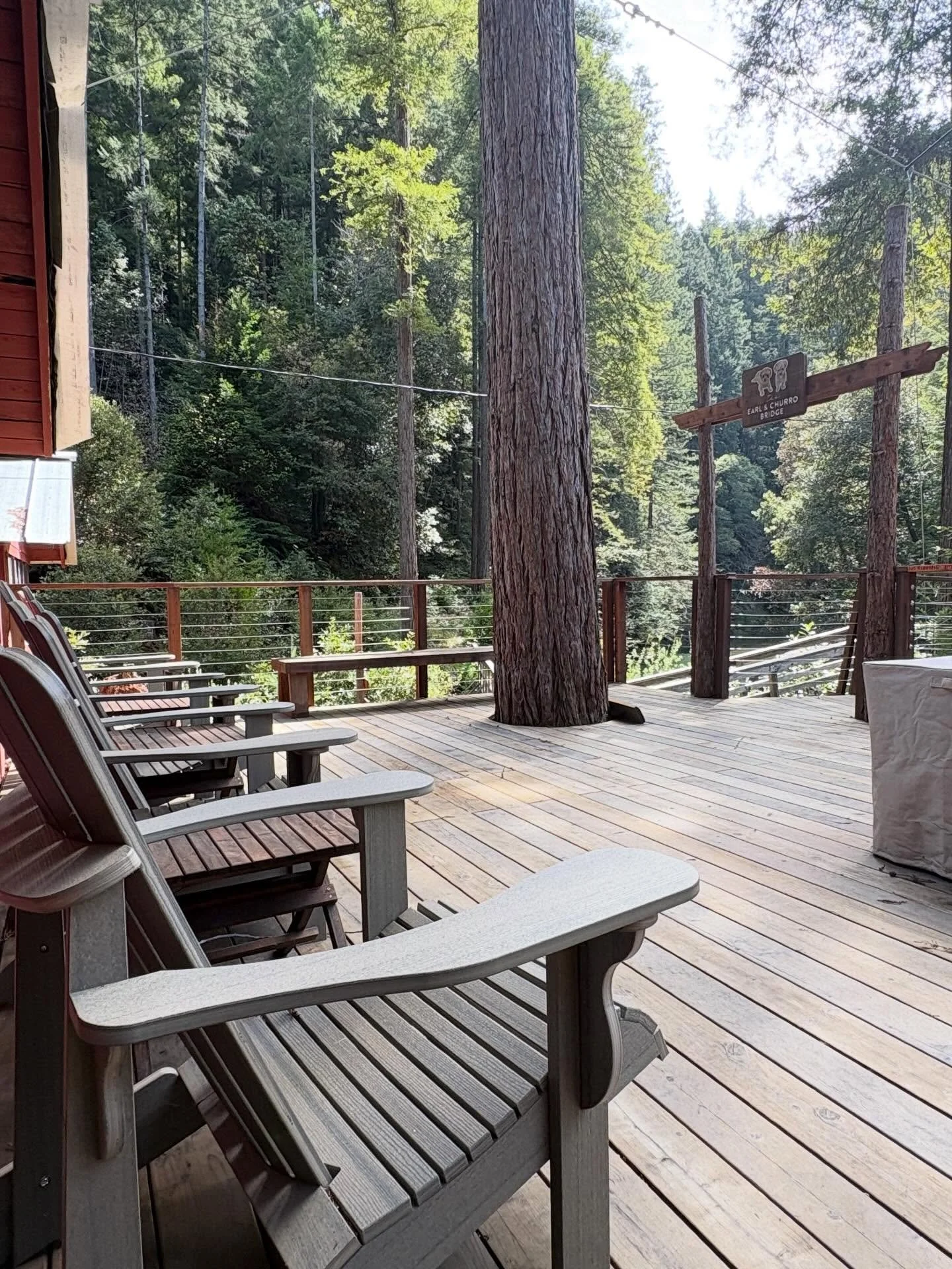 Your next stay is waiting&hellip; right here under the redwoods. Book in our Link. We have campsites or cabins available for summer 2026 #campnoyo #visitmendocinocounty