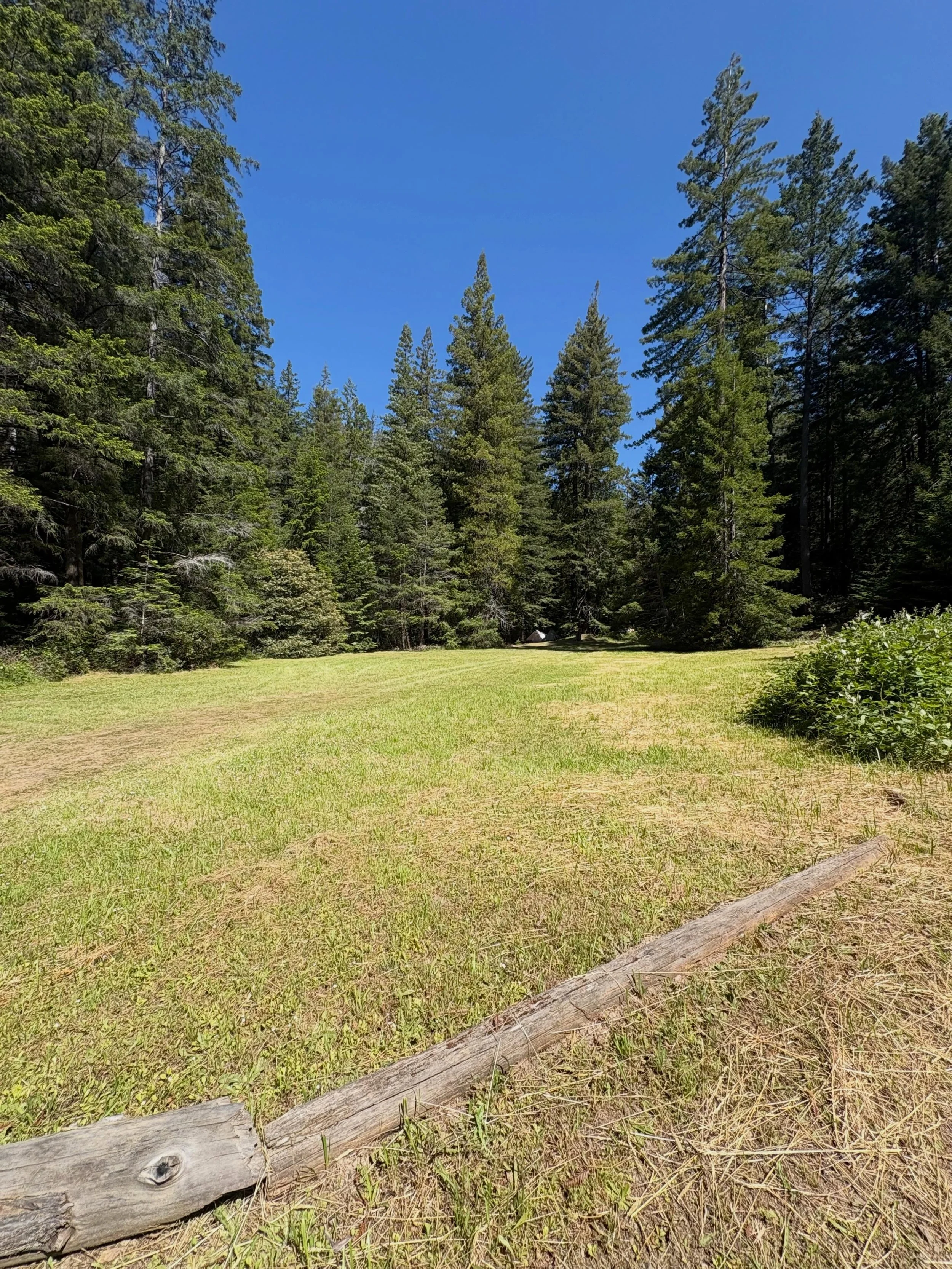Hello Summer 2026 ☀️ We&rsquo;re ready to welcome campers back to Camp Noyo for Memorial Day Weekend next week! The redwoods are calling, the river is flowing, and another unforgettable season is about to begin. Grab your favorite people, pack your w