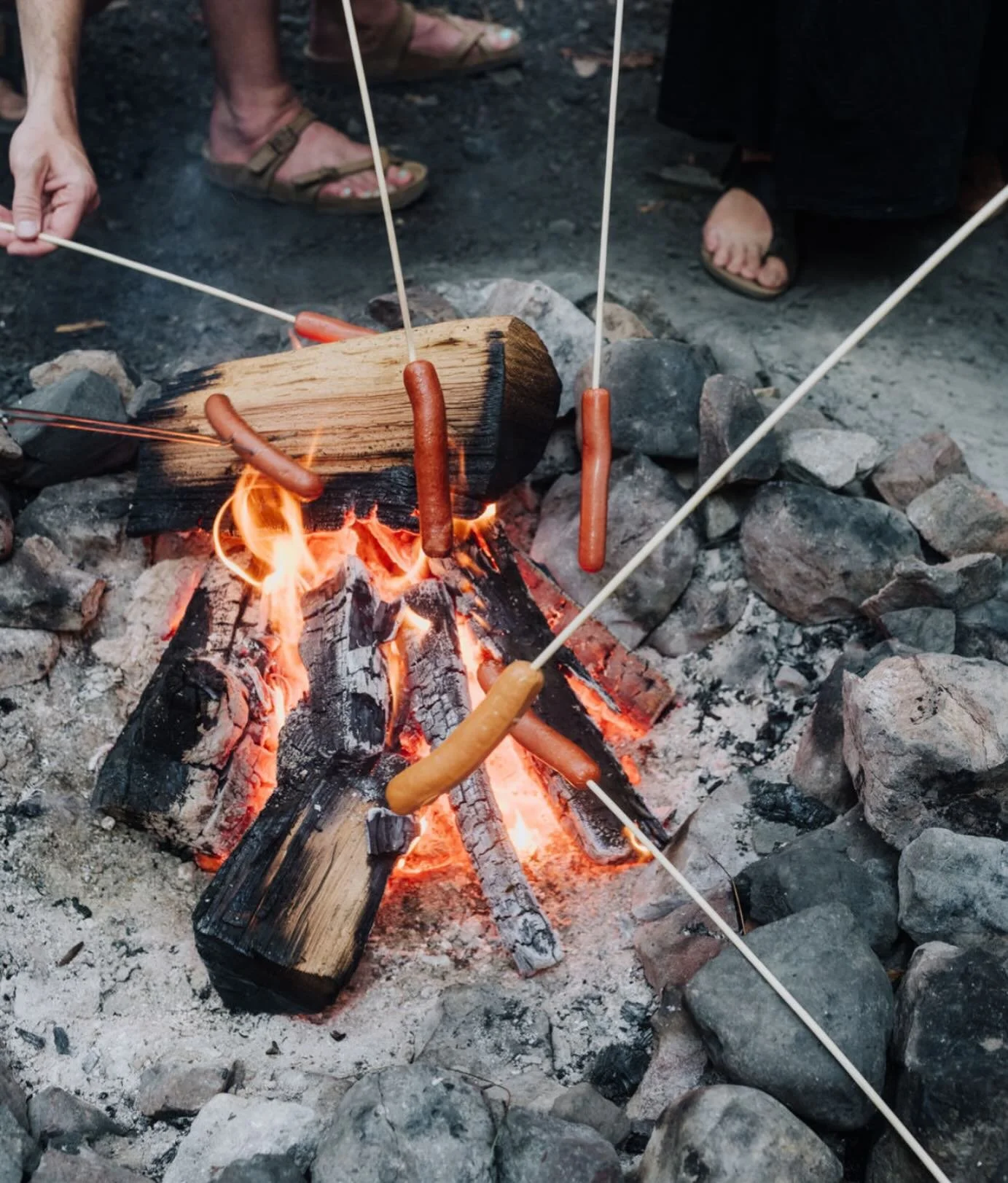Proof that the best meals don&rsquo;t need reservations #CampNoyo #NorthernCalifornia #CampfireNights #SummerCamping #RedwoodCamping CaliforniaCamping CampLife CampingSeason WeekendGetaway OutdoorLiving CampfireCooking FamilyCamping CampingVibes Expl