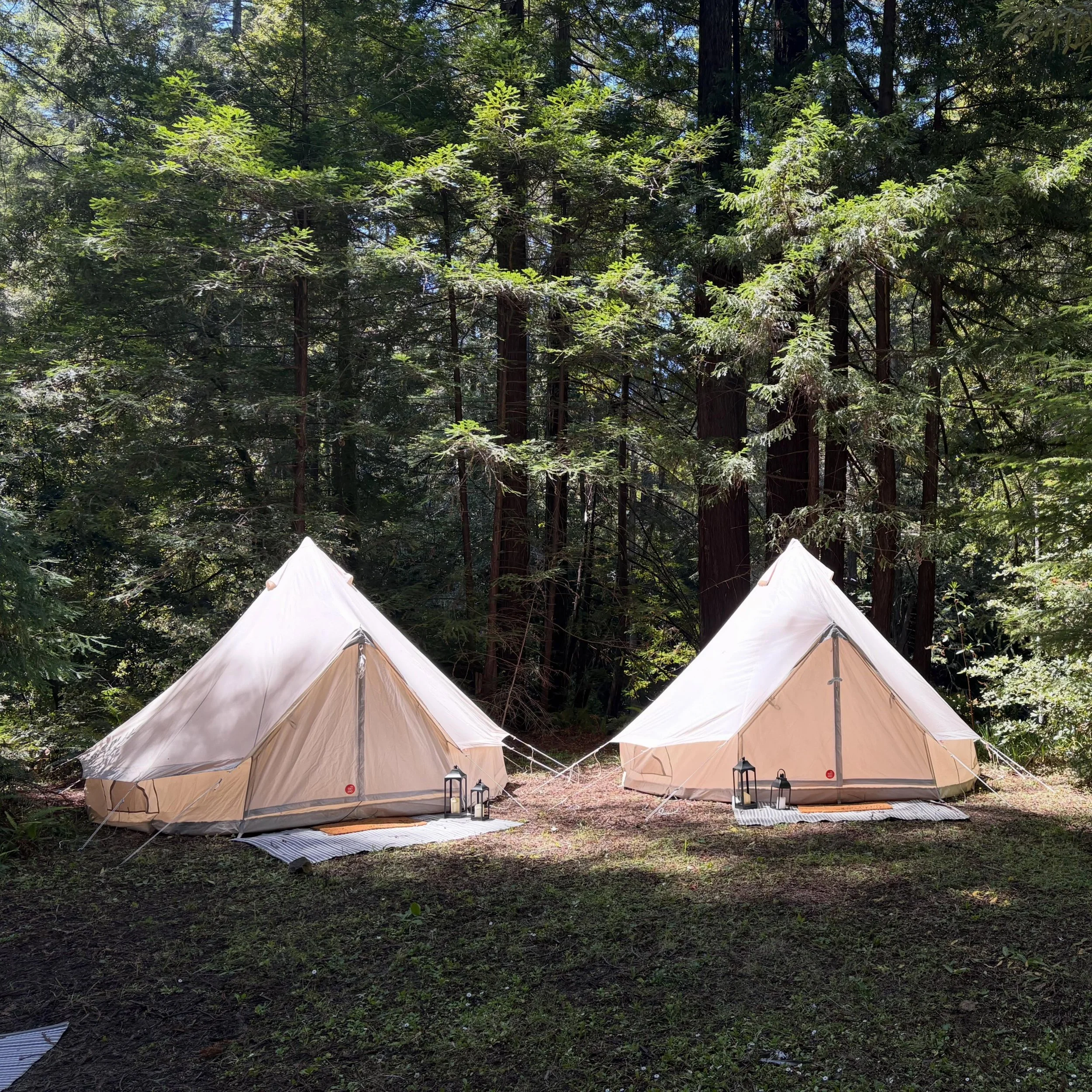 Upgrade unlocked at Camp 4 ✨ Our new glamping tents are here and ready to make your stay even more comfortable under the redwoods. A little extra shade, a little extra charm, and the perfect added touch for your next Camp Noyo getaway. 🏕️🌲

#CampNo