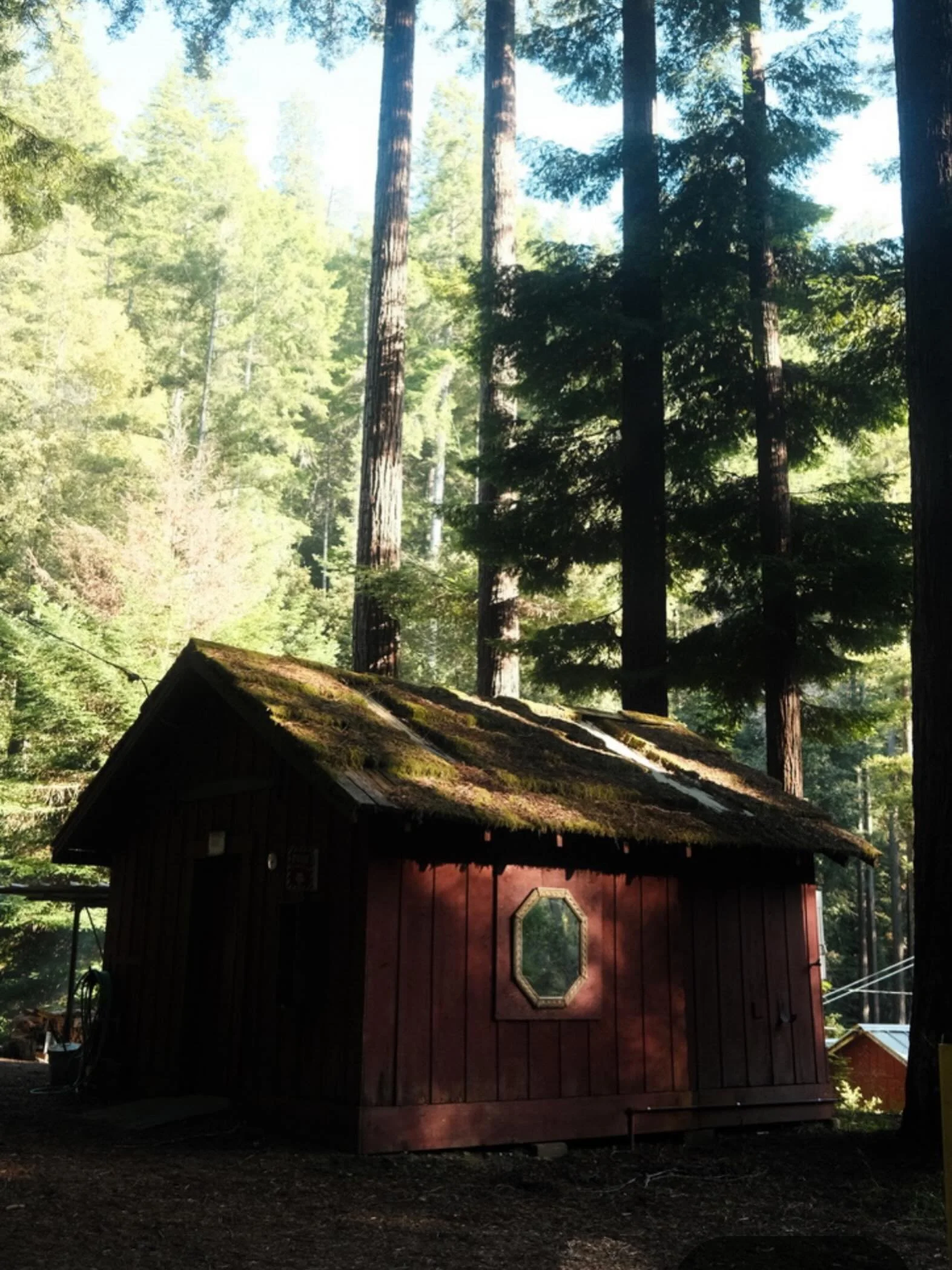 Sunlight through the redwoods. Moss-covered rooftops. The sound of the river nearby.

Some places aren&rsquo;t just destinations&mdash;they&rsquo;re experiences. 🌲❤️

#CampNoyo #MendocinoCounty #RedwoodForest #CabinGetaway #CampLife
