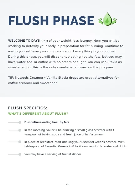 44 - Flush - Overview.jpg