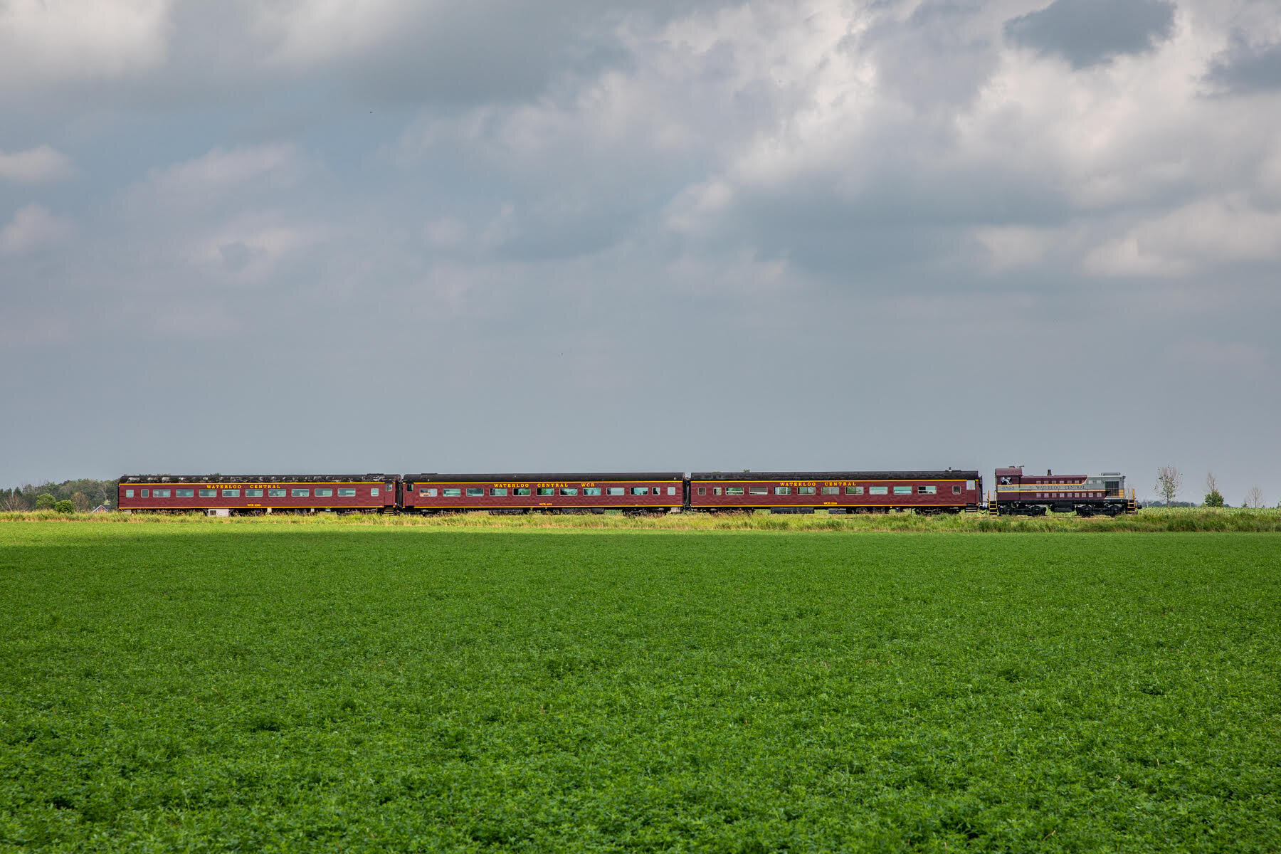 6593 leading Farmers Market train between Elmira & St Jacobs (1).jpg