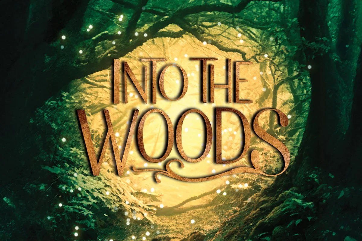 A photo of a lit path in the woods