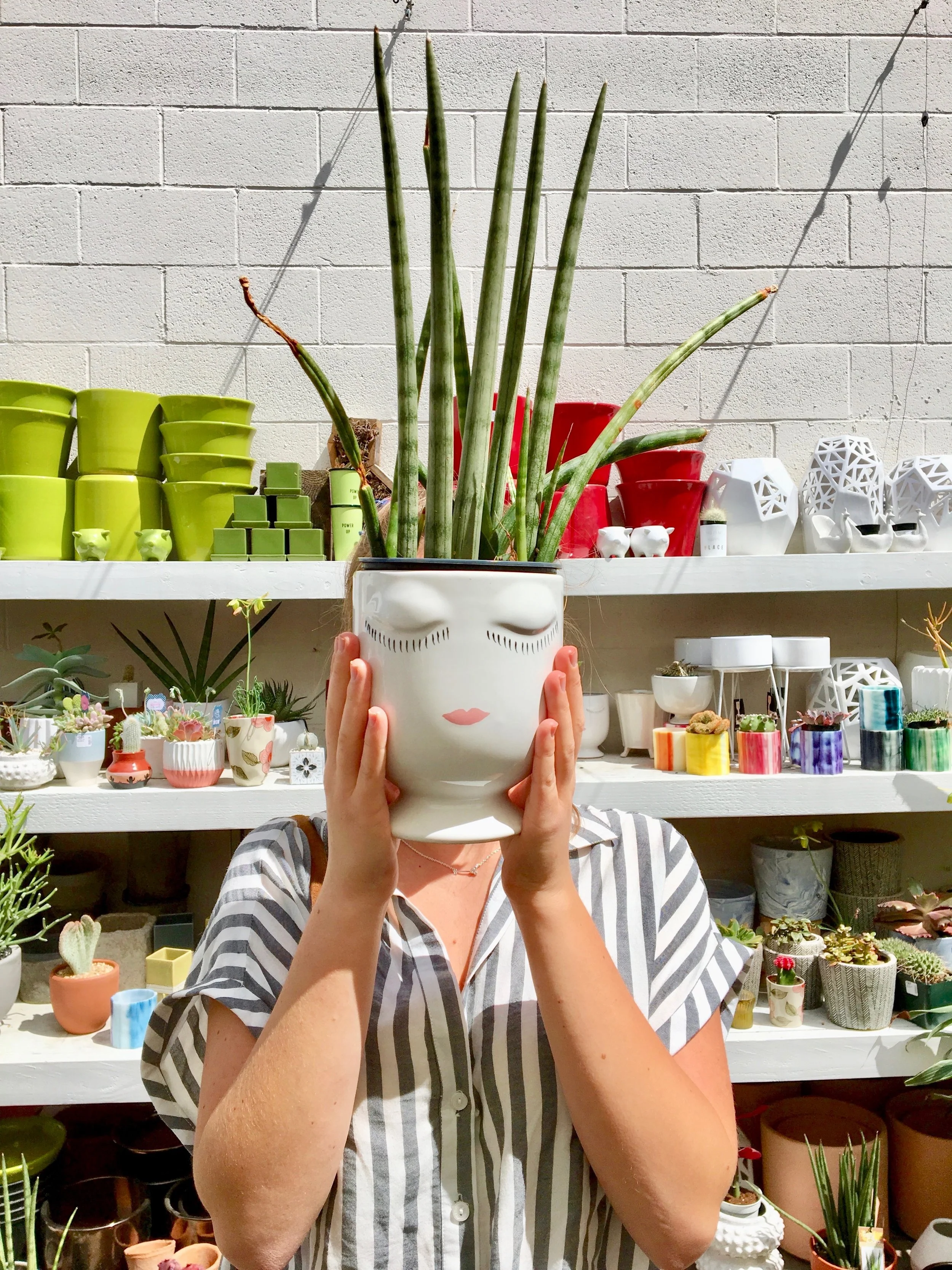 Green by Spring: A quick guide for eco-friendly living