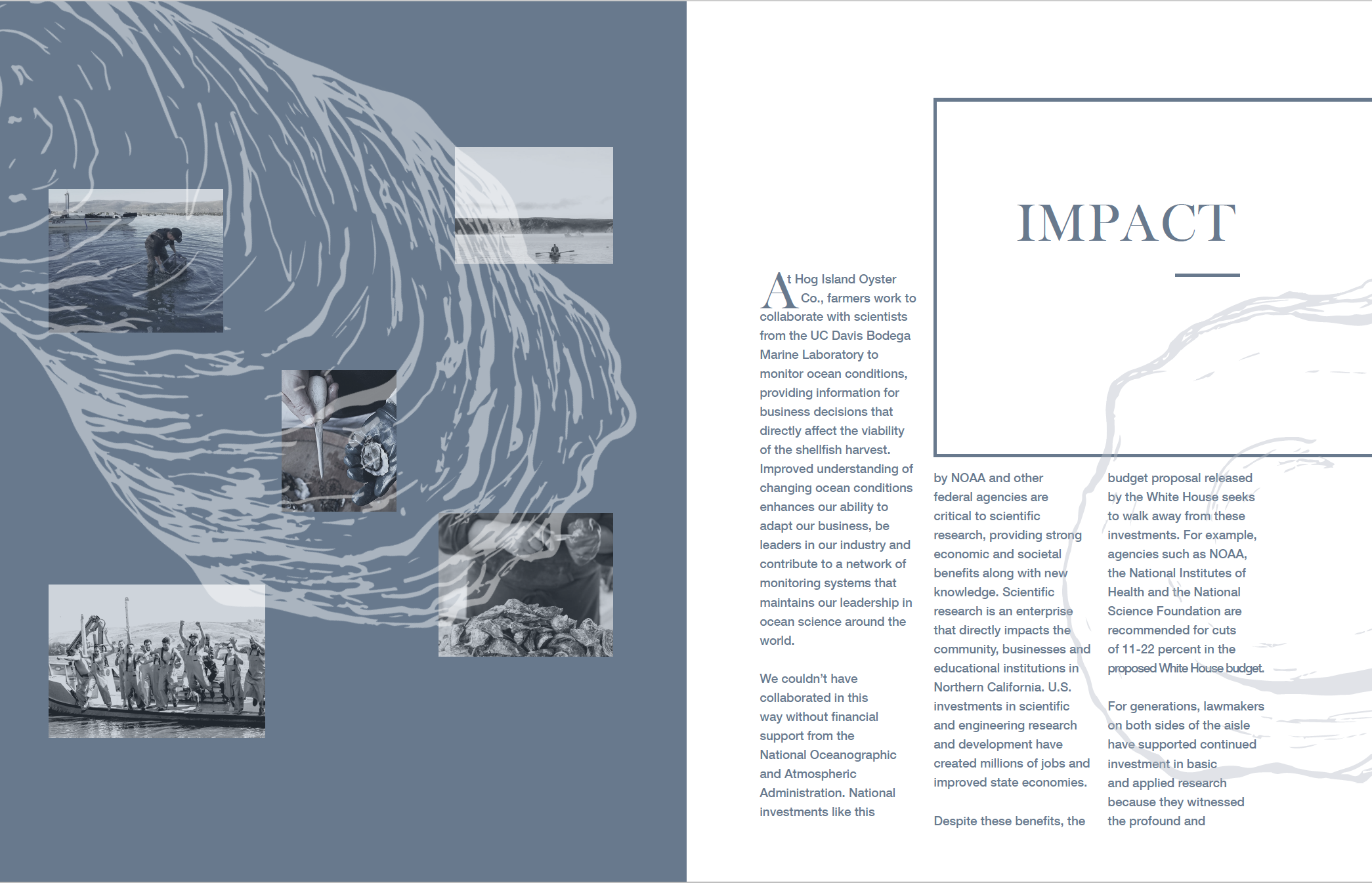 Screen Shot 2018-08-30 at 10.14.48 AM.PNG