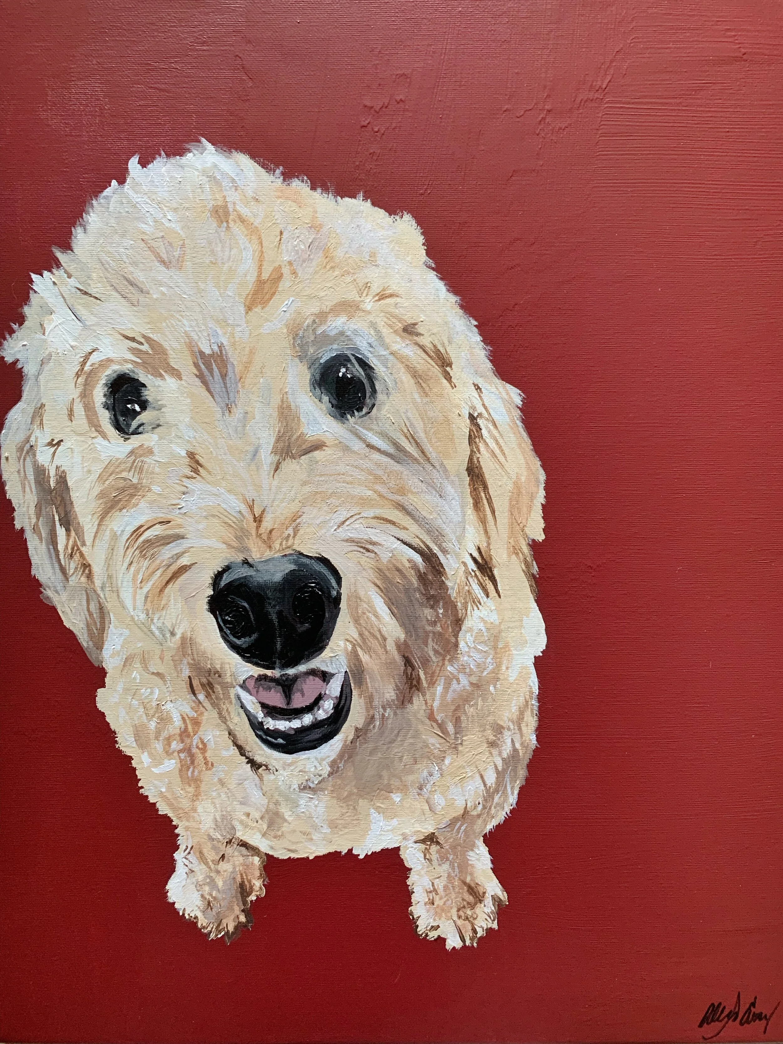 AfterlightImage 3.JPG