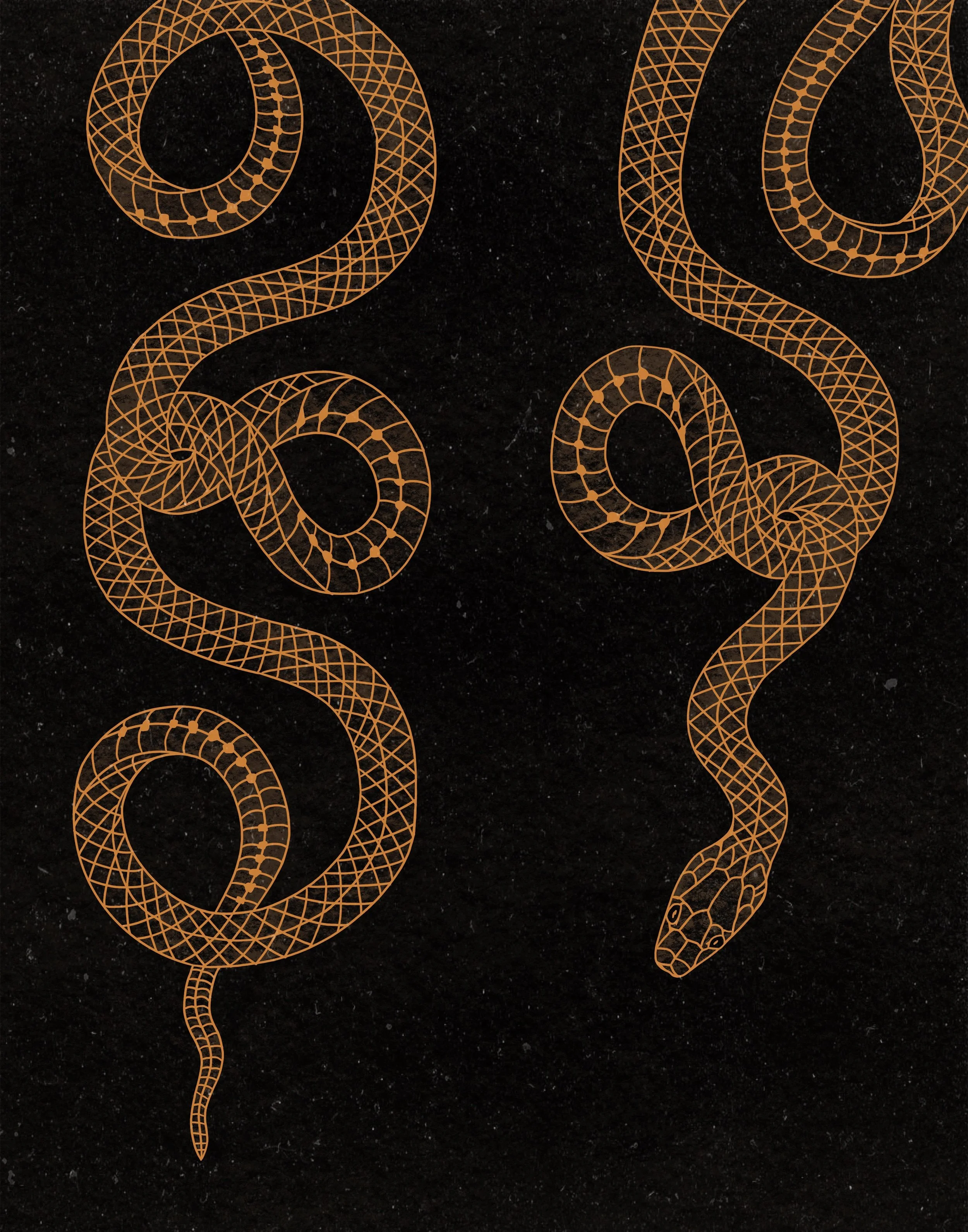 AfterlightImage 7.JPG