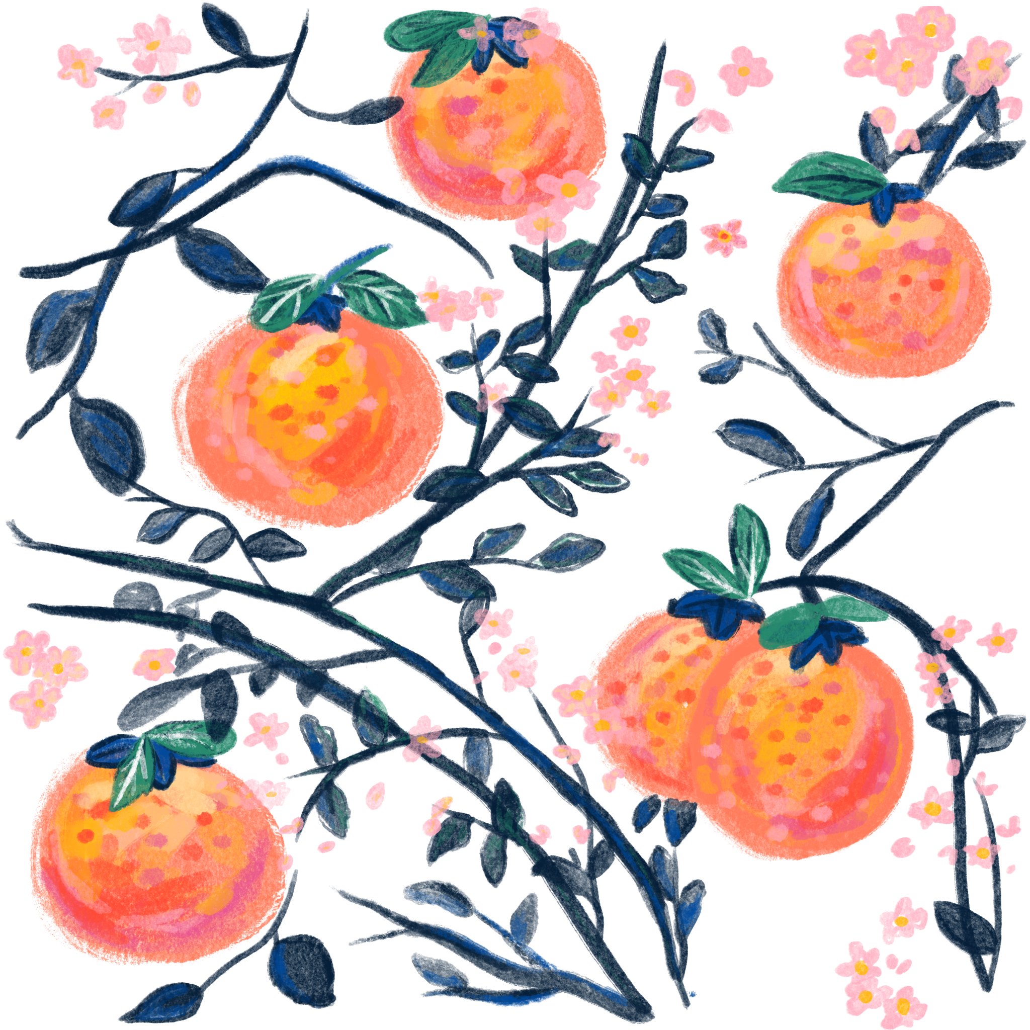 Oranges