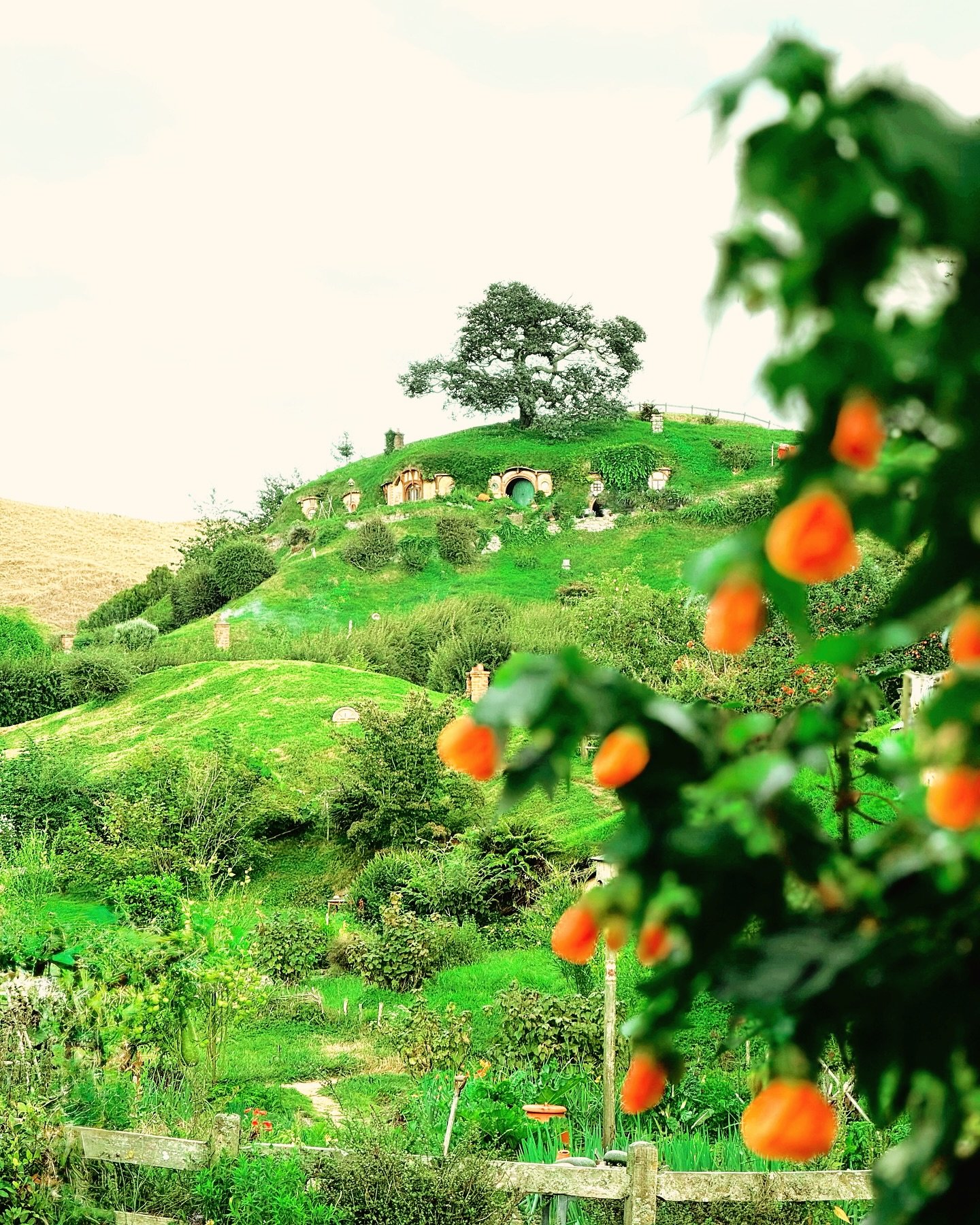 Exploring Middle Earth, Waitomo Glow Worm Caves, and Auckland